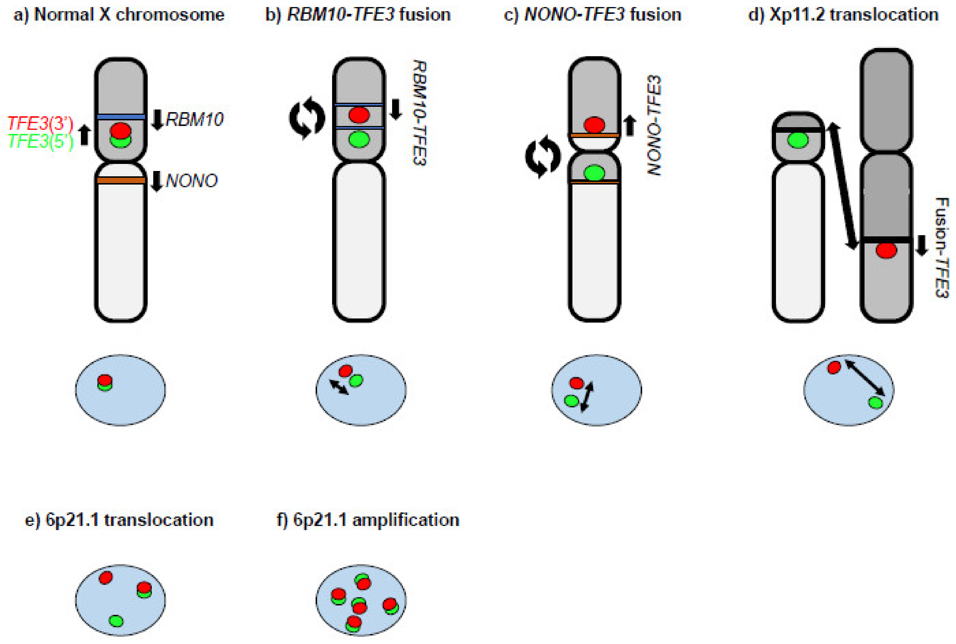 Genes 14 00151 g001 Genes 14 00151 g001