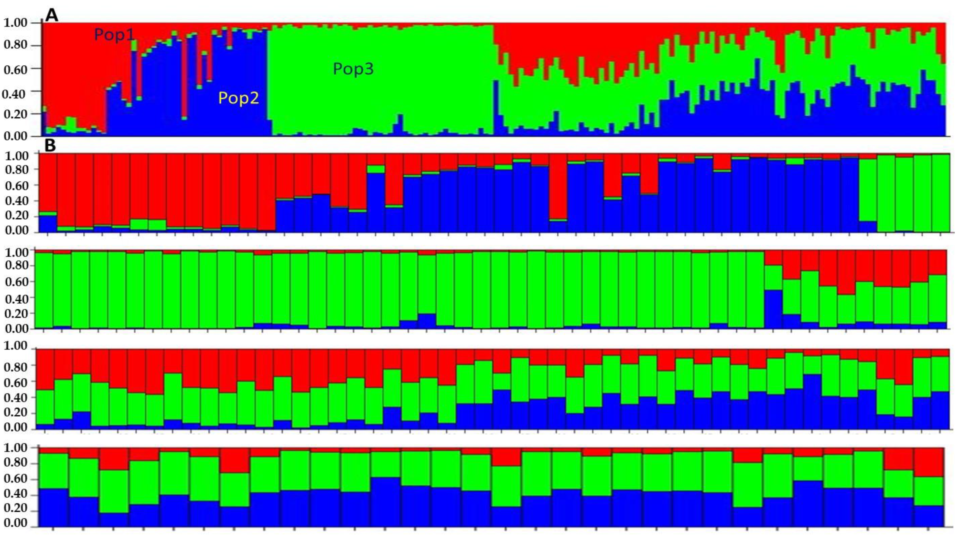 Genes 14 00155 g005 Genes 14 00155 g005