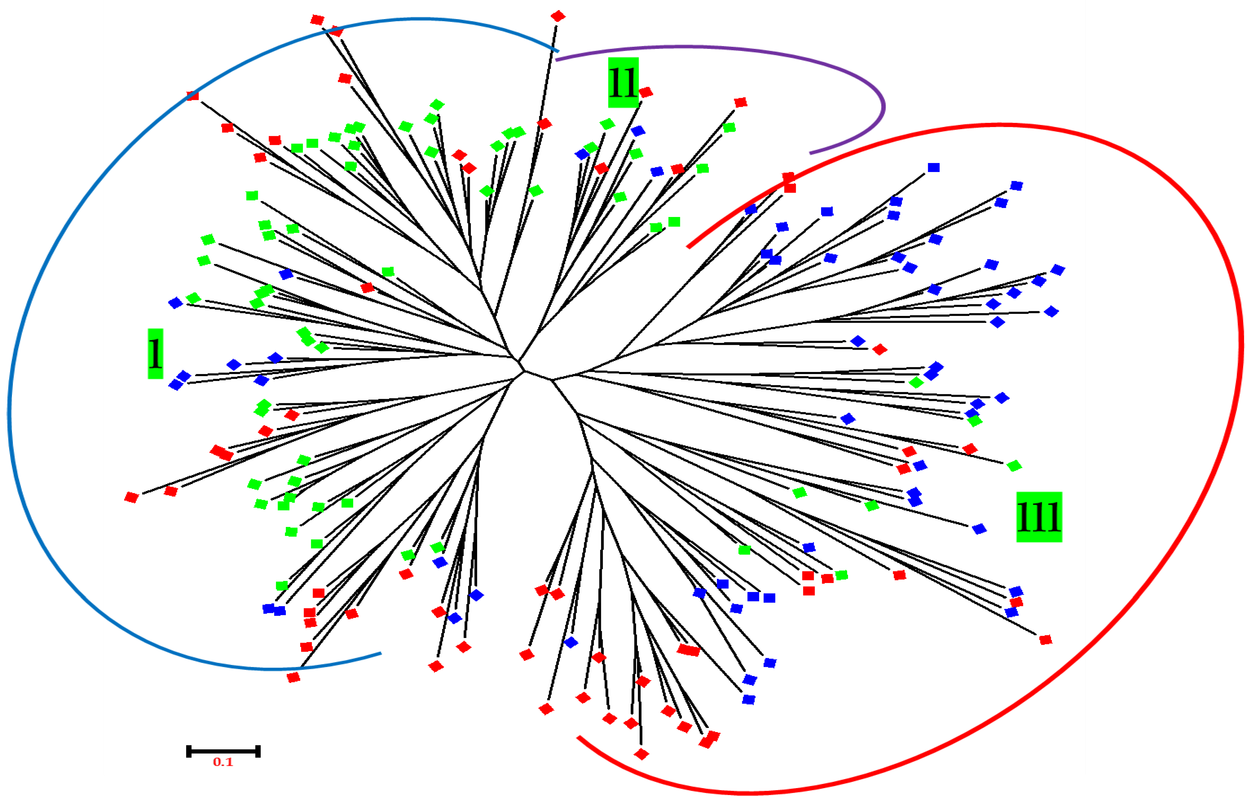 Genes 14 00155 g006 Genes 14 00155 g006