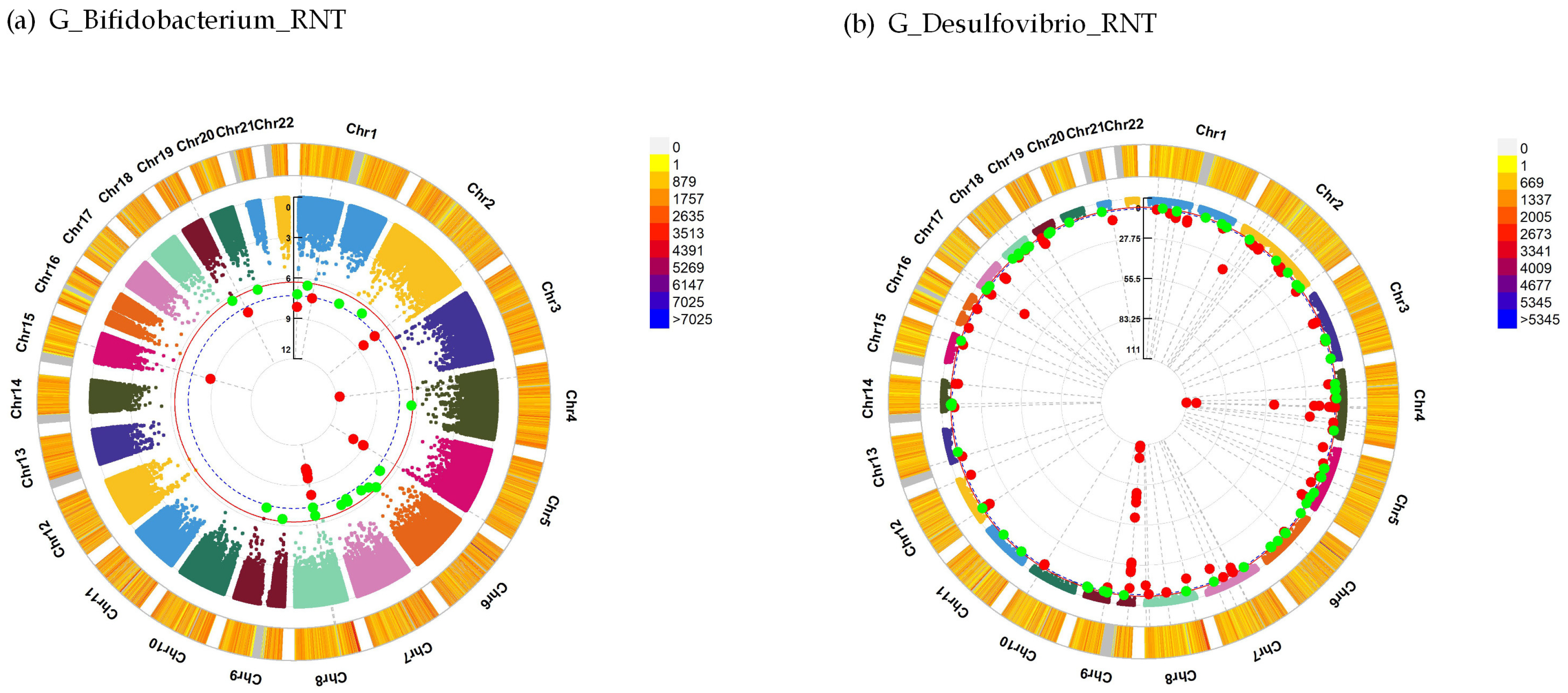 Genes 14 00156 g001