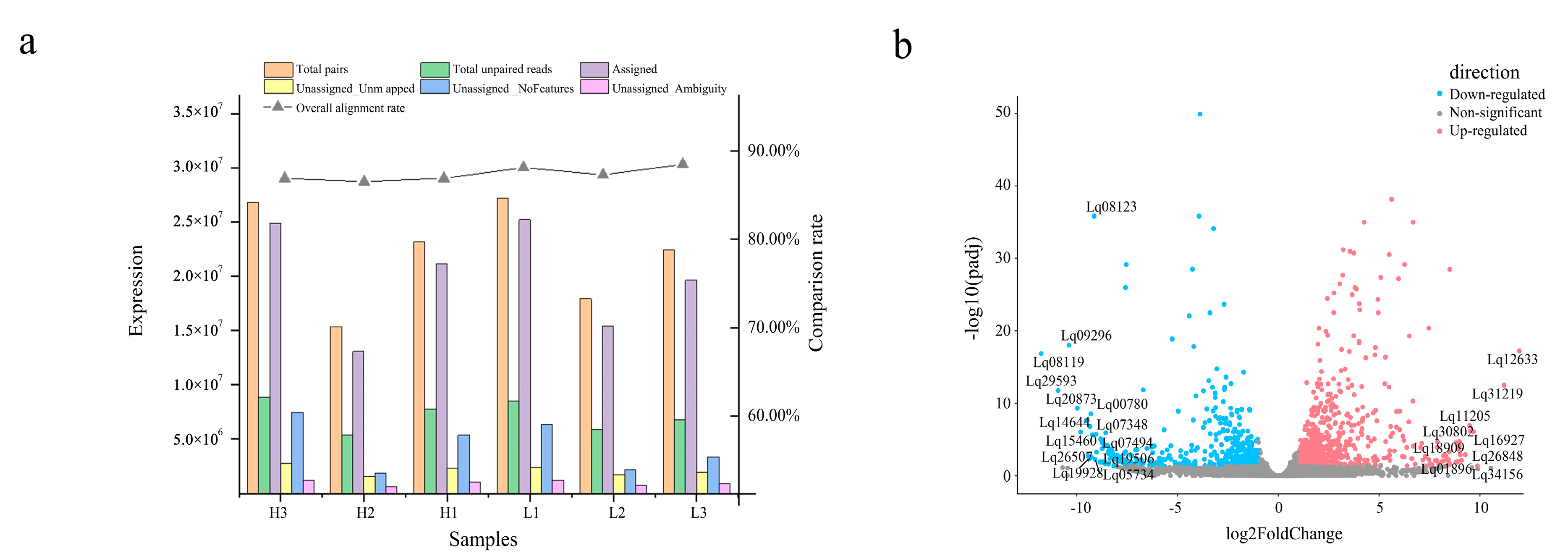 Genes 14 00163 g002 Genes 14 00163 g002