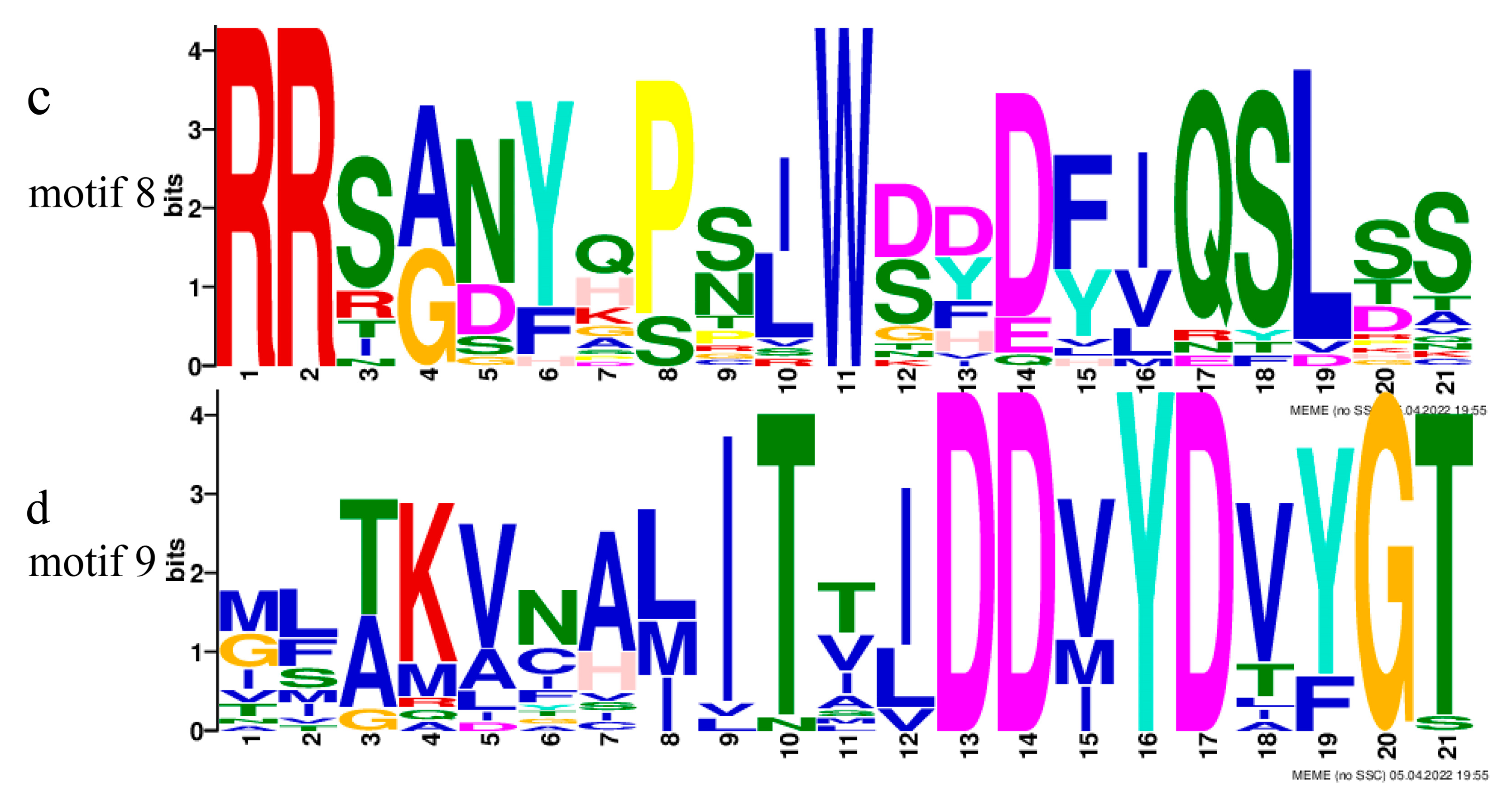 Genes 14 00163 g005b Genes 14 00163 g005b