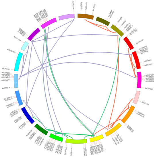 Genome-Wide Analysis and Expression of the GRAS Transcription Factor ...