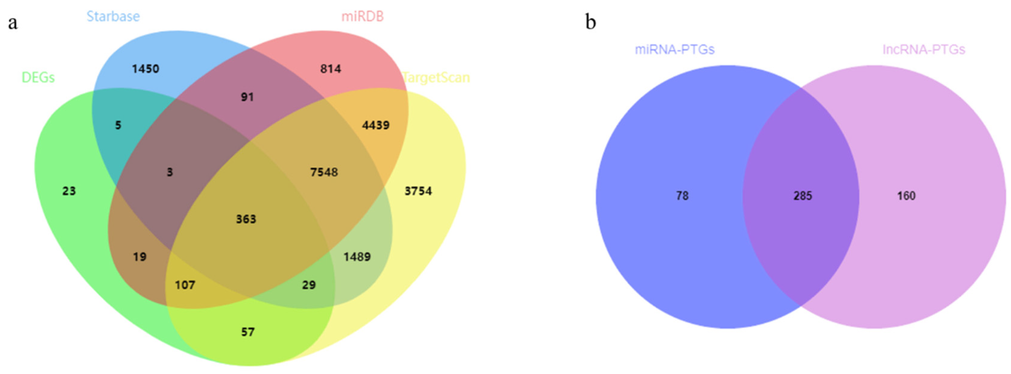 Genes 14 00168 g004