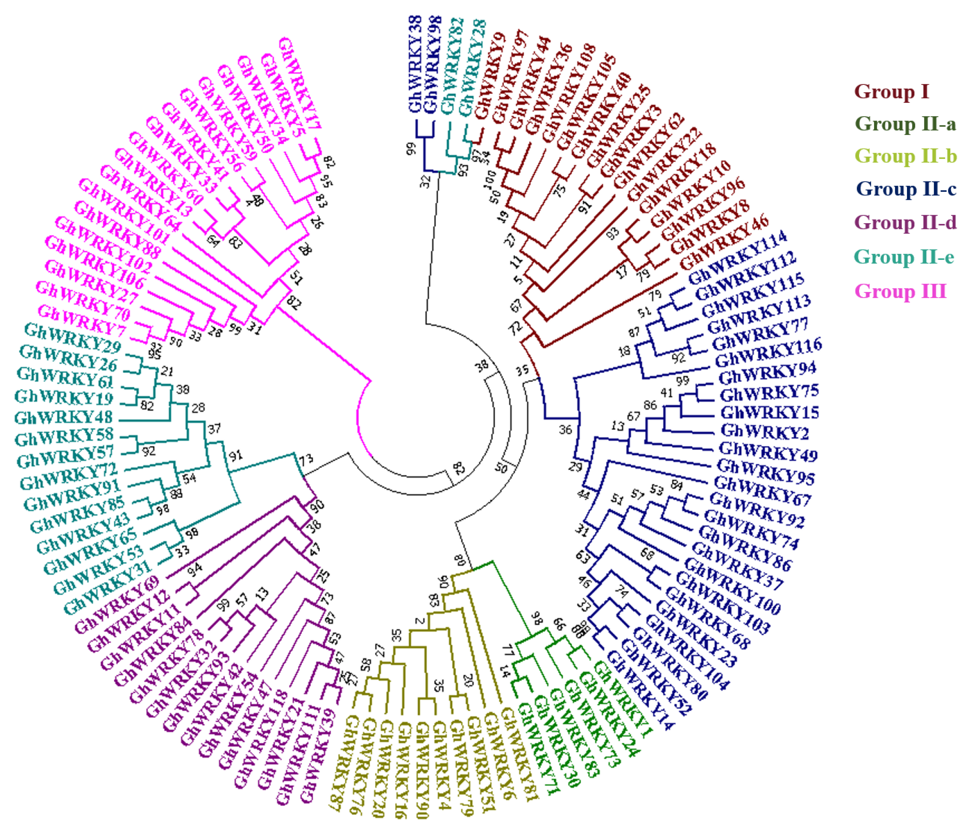 Genes 14 00171 g003 Genes 14 00171 g003