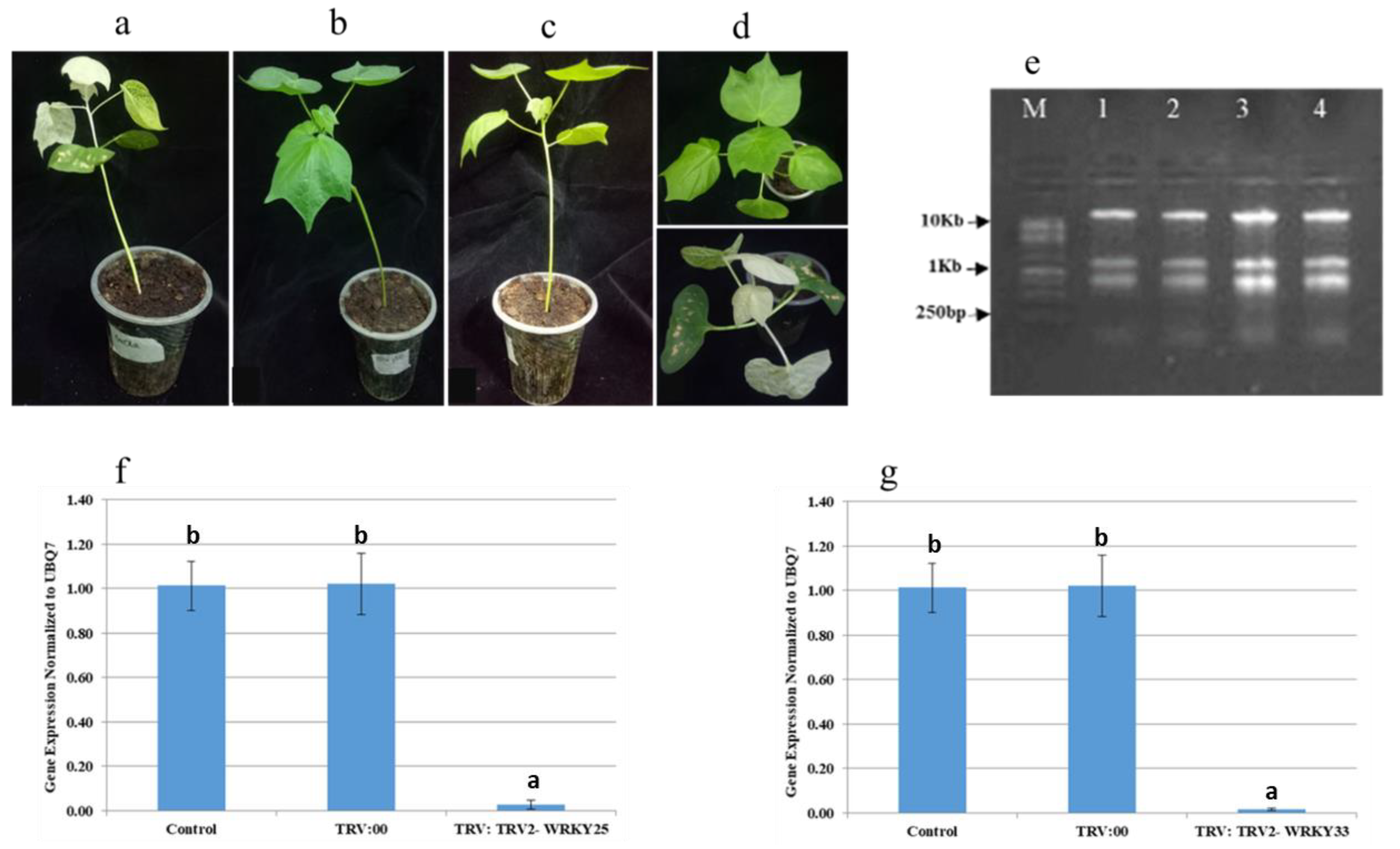 Genes 14 00171 g005 Genes 14 00171 g005