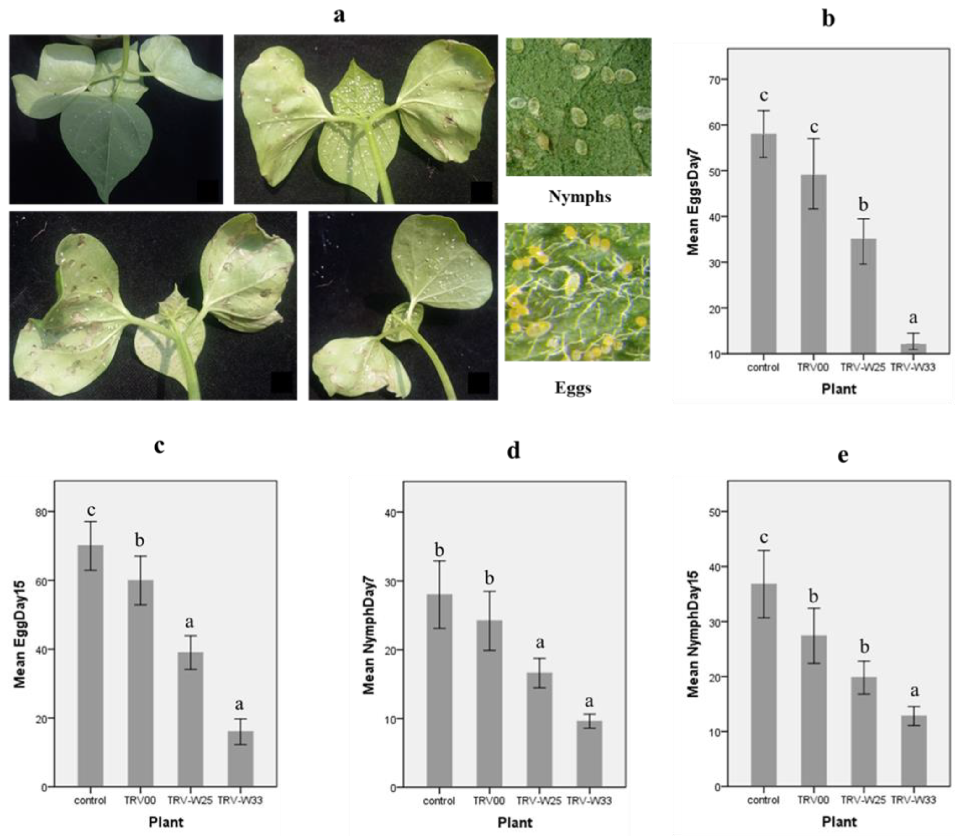 Genes 14 00171 g007 Genes 14 00171 g007