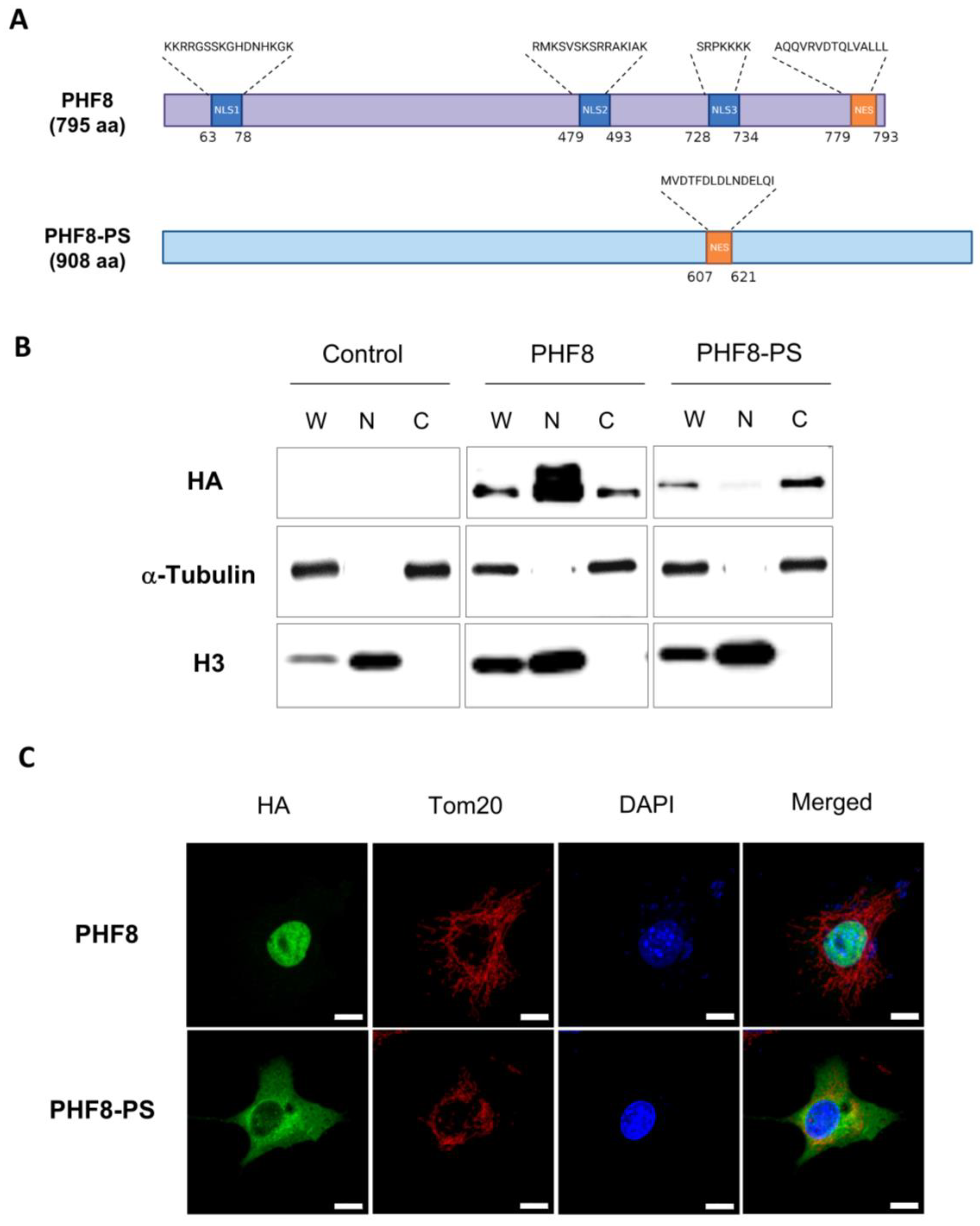 Genes 14 00172 g004 Genes 14 00172 g004
