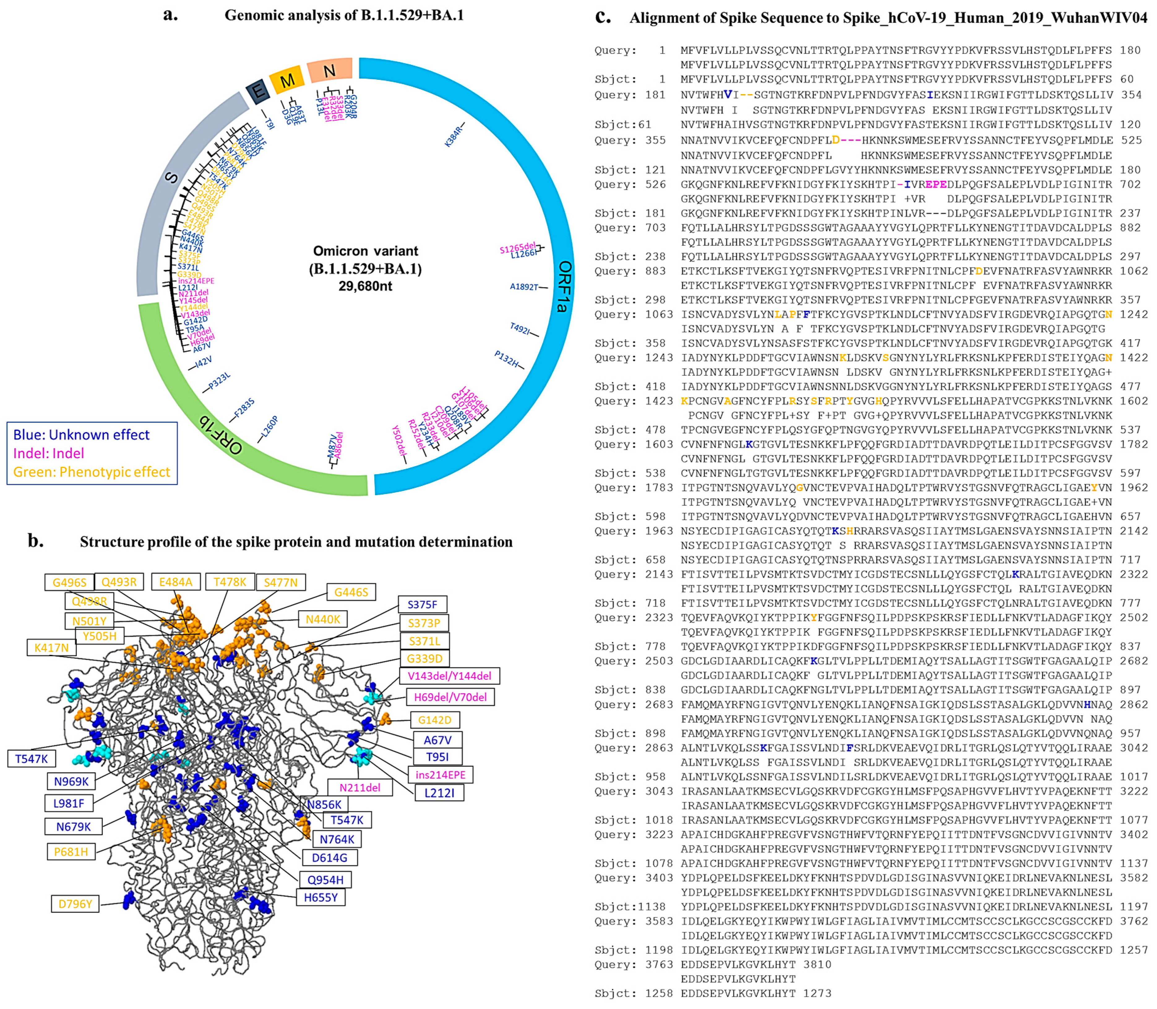 Genes 14 00173 g001 Genes 14 00173 g001