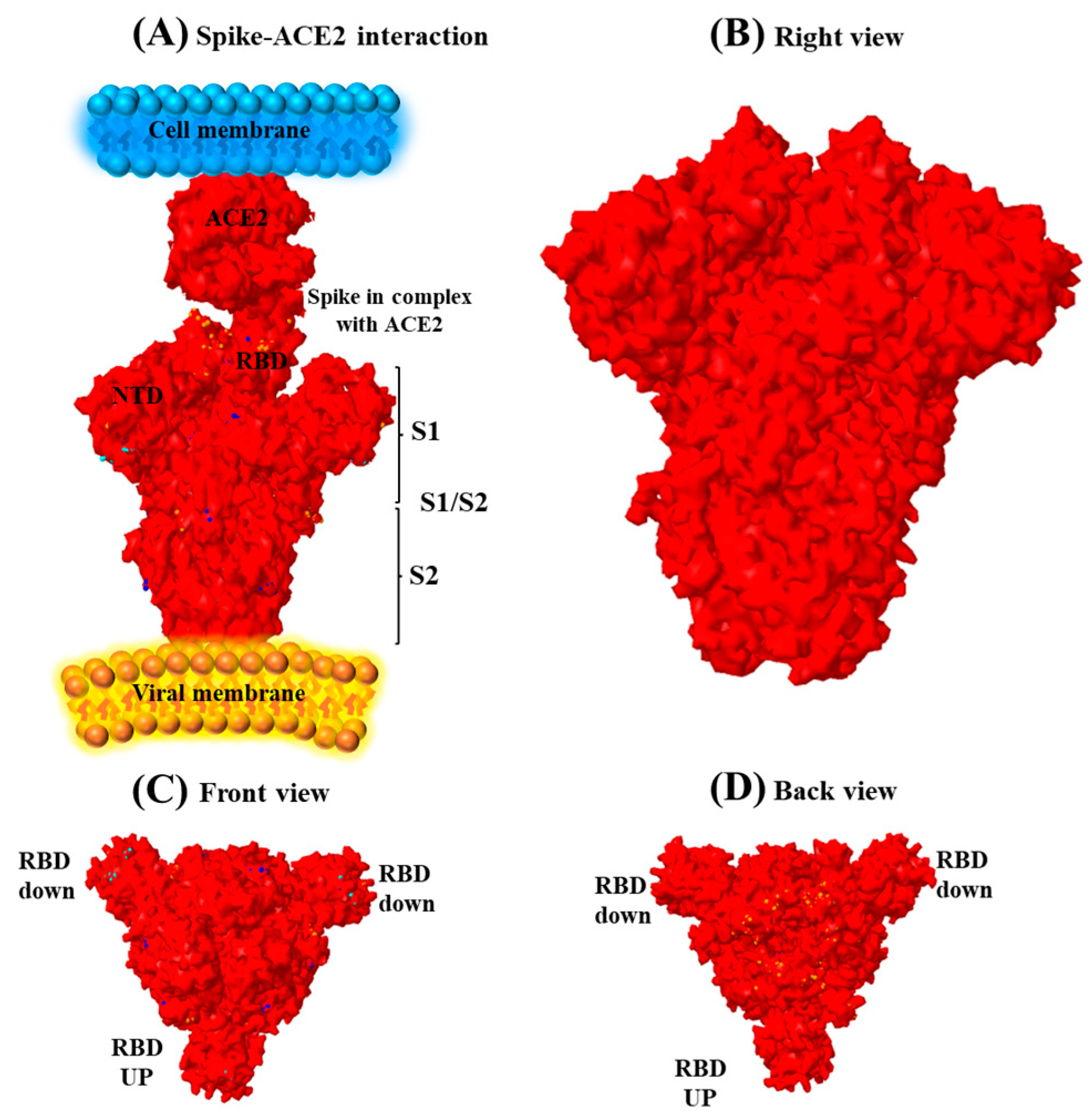 Genes 14 00173 g002 Genes 14 00173 g002