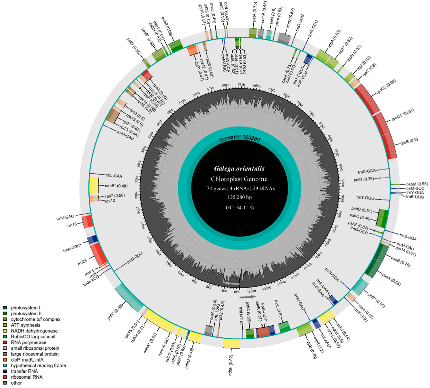 Genes | Free Full-Text | Analysis of Complete Chloroplast Genome ...