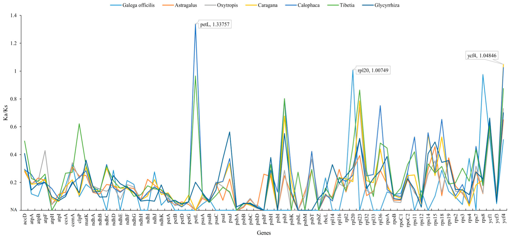 Genes 14 00176 g005