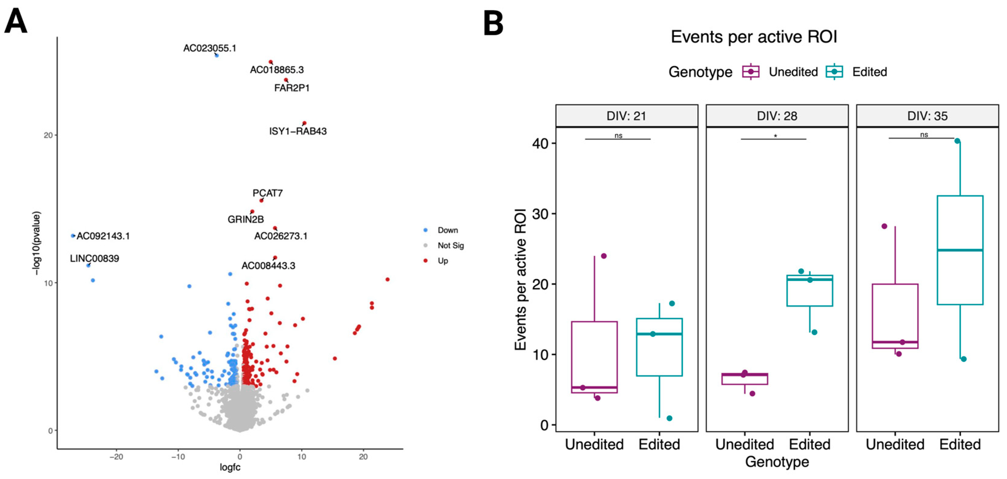Genes 14 00177 g004 Genes 14 00177 g004