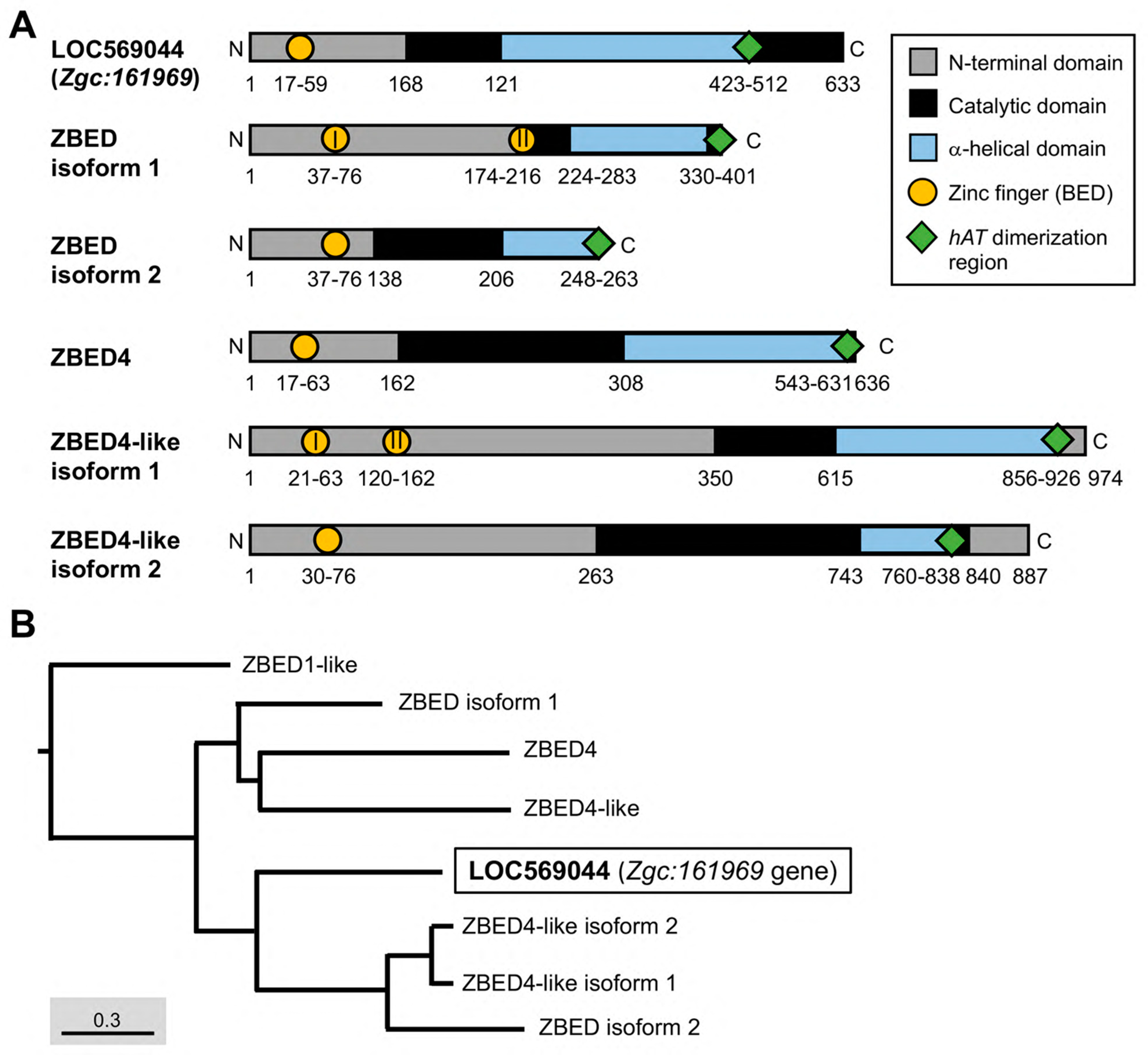 Genes 14 00179 g001 Genes 14 00179 g001