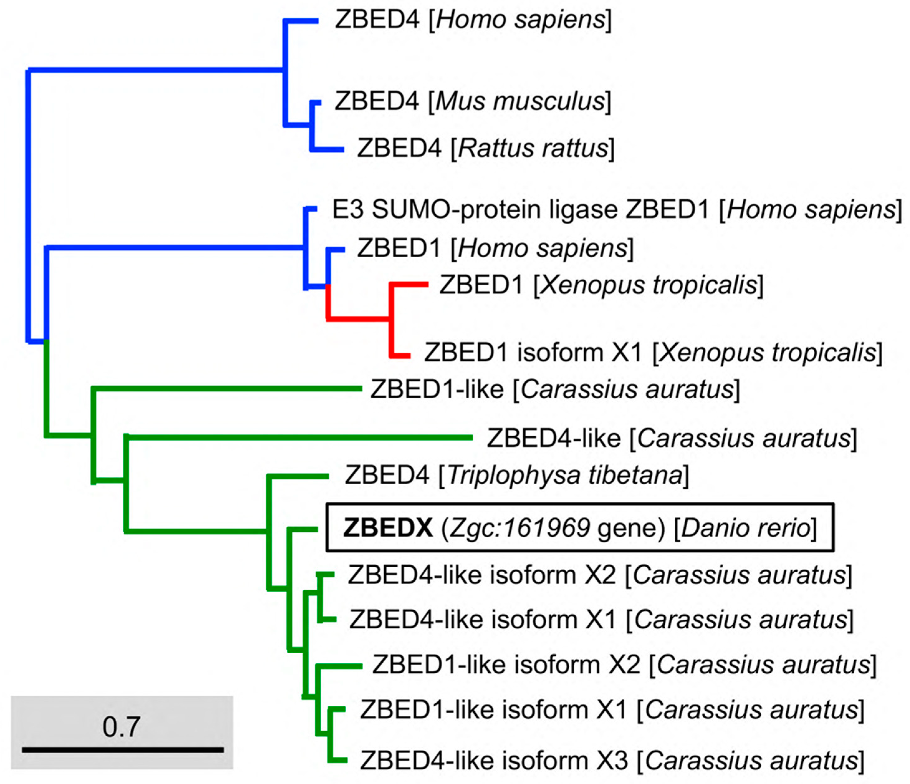 Genes 14 00179 g003 Genes 14 00179 g003