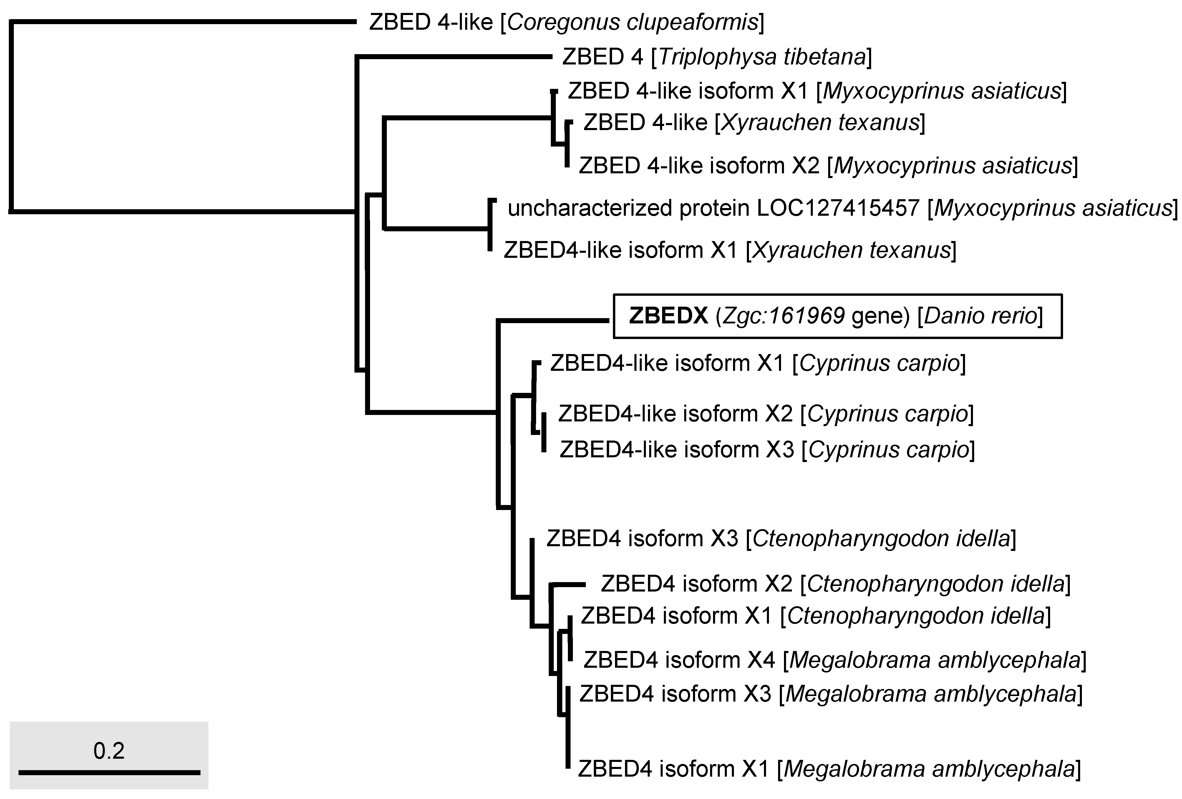 Genes 14 00179 g004 Genes 14 00179 g004