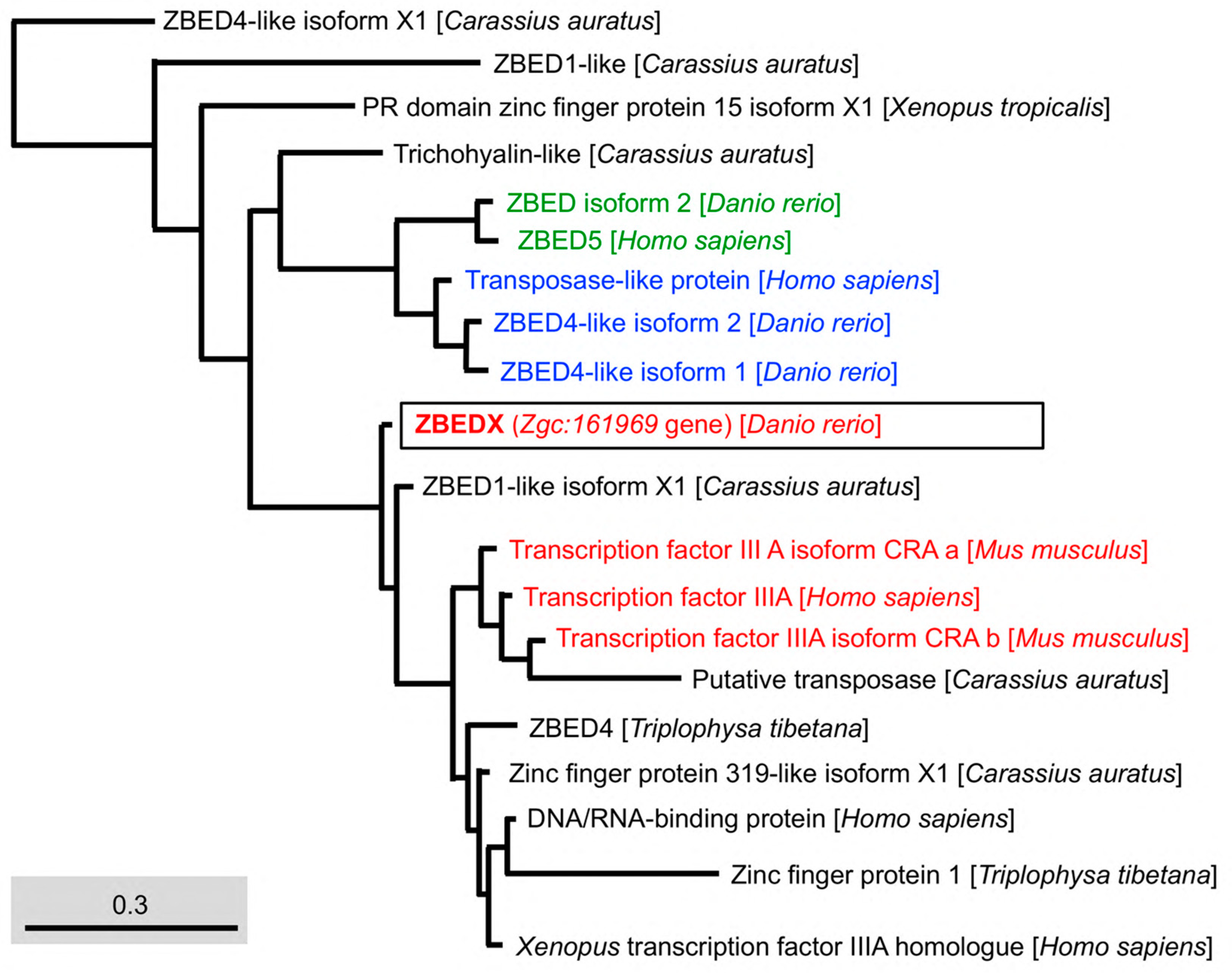 Genes 14 00179 g005 Genes 14 00179 g005