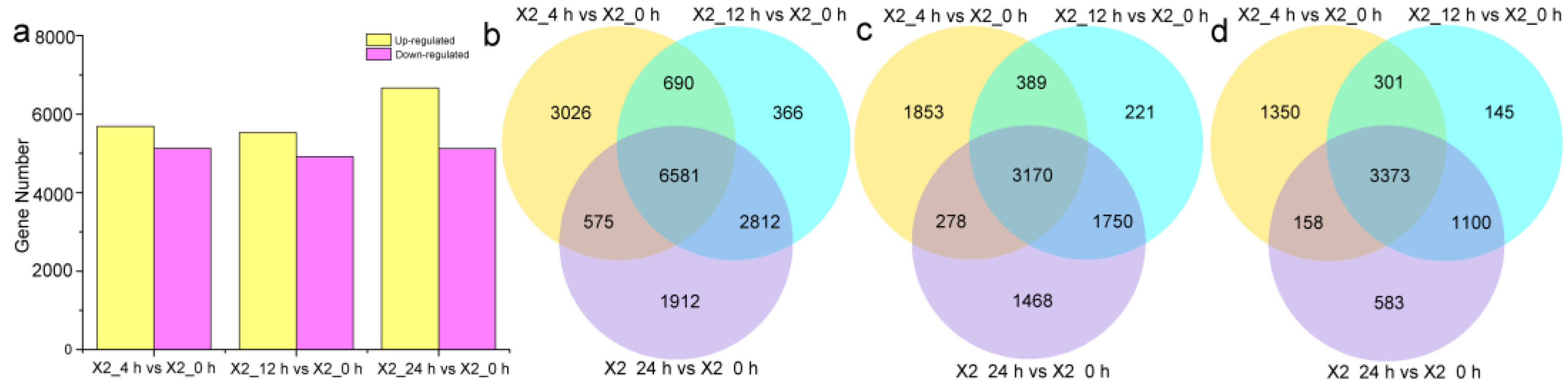 Genes 14 00181 g002 Genes 14 00181 g002