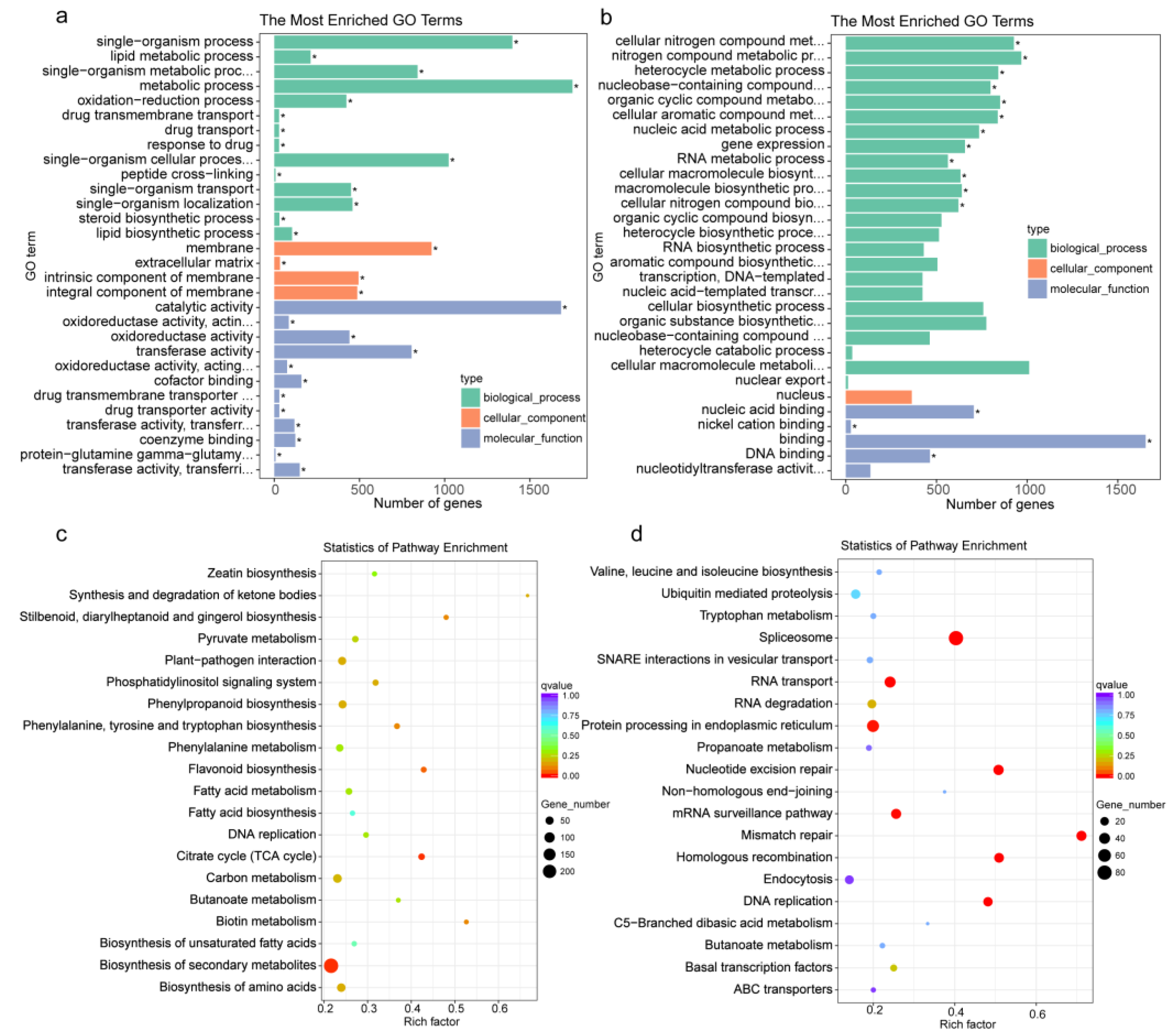 Genes 14 00181 g003 Genes 14 00181 g003