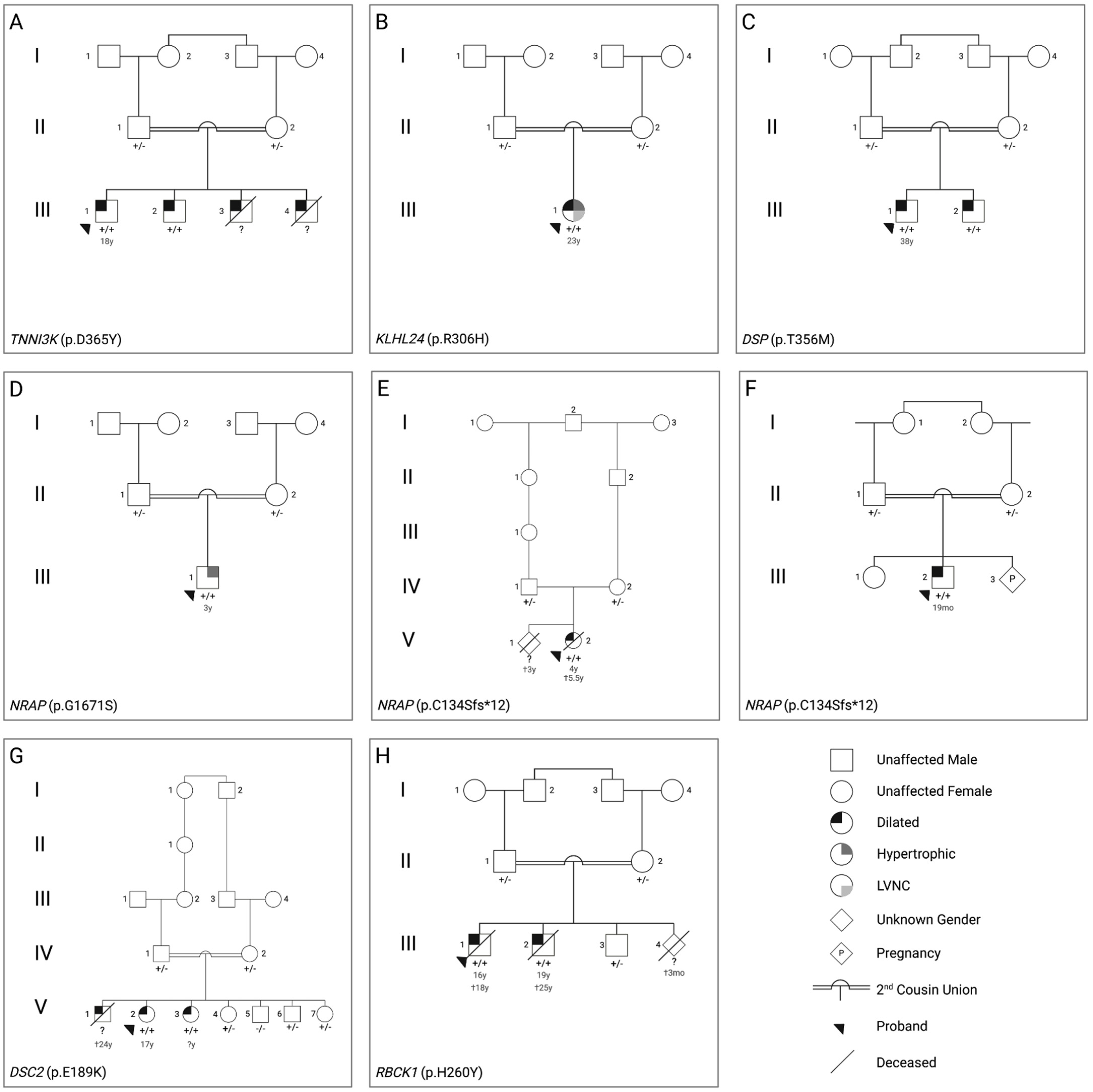 Genes 14 00182 g001 Genes 14 00182 g001