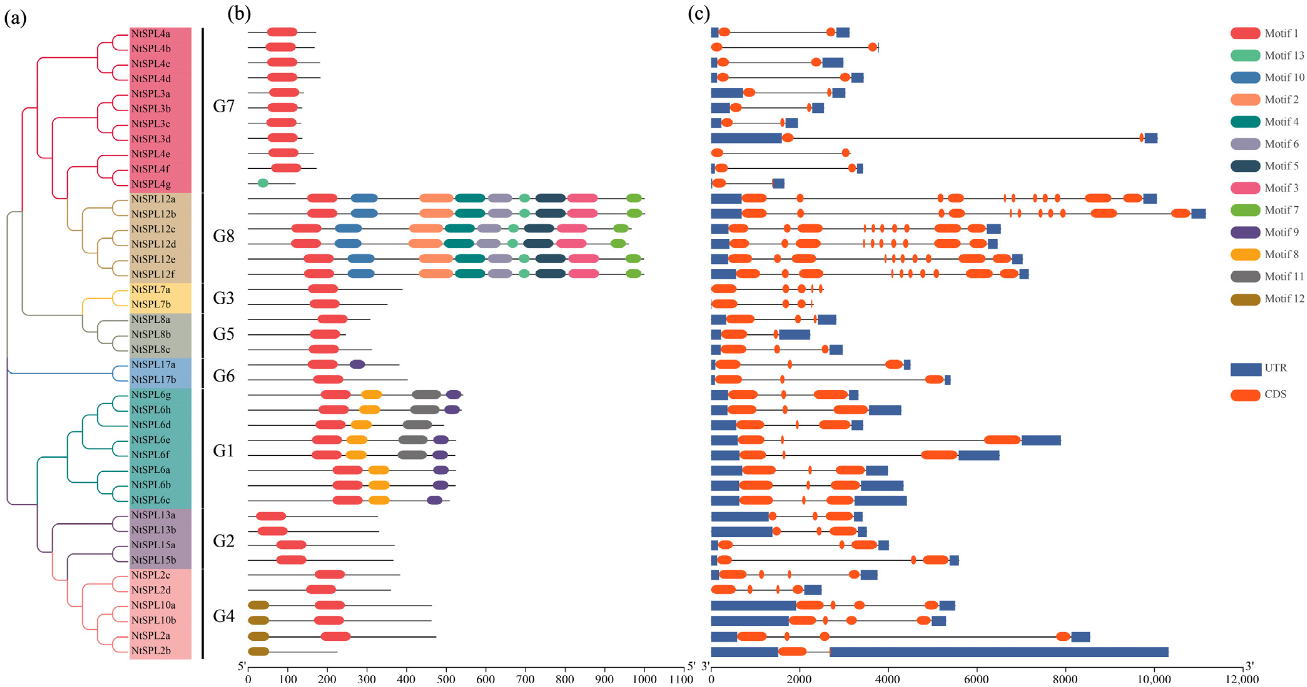 Genes 14 00183 g003