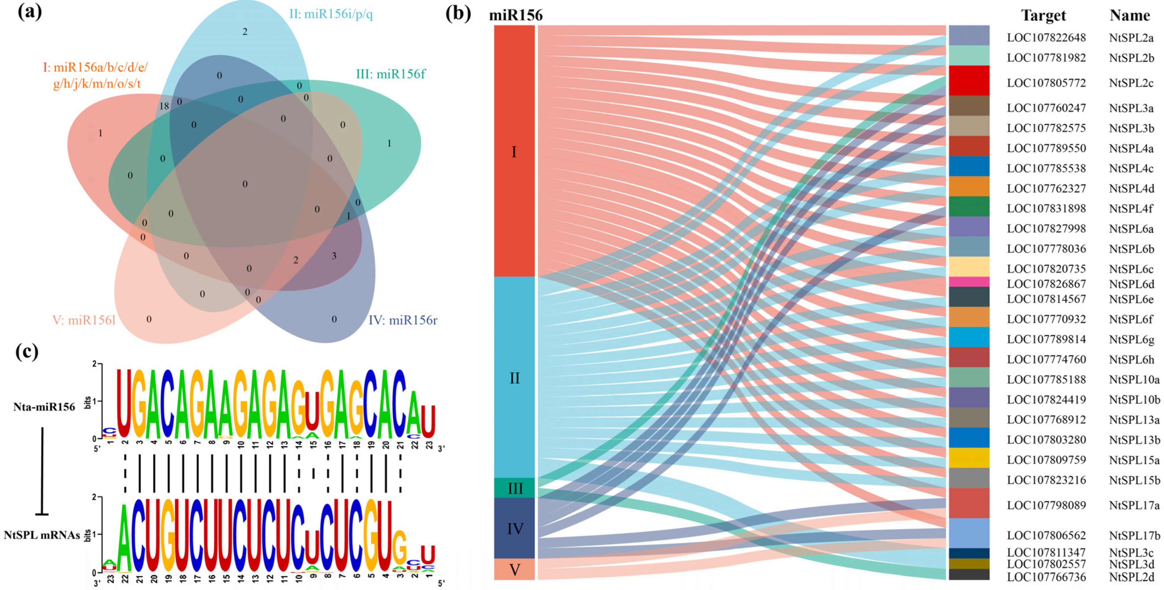 Genes 14 00183 g005