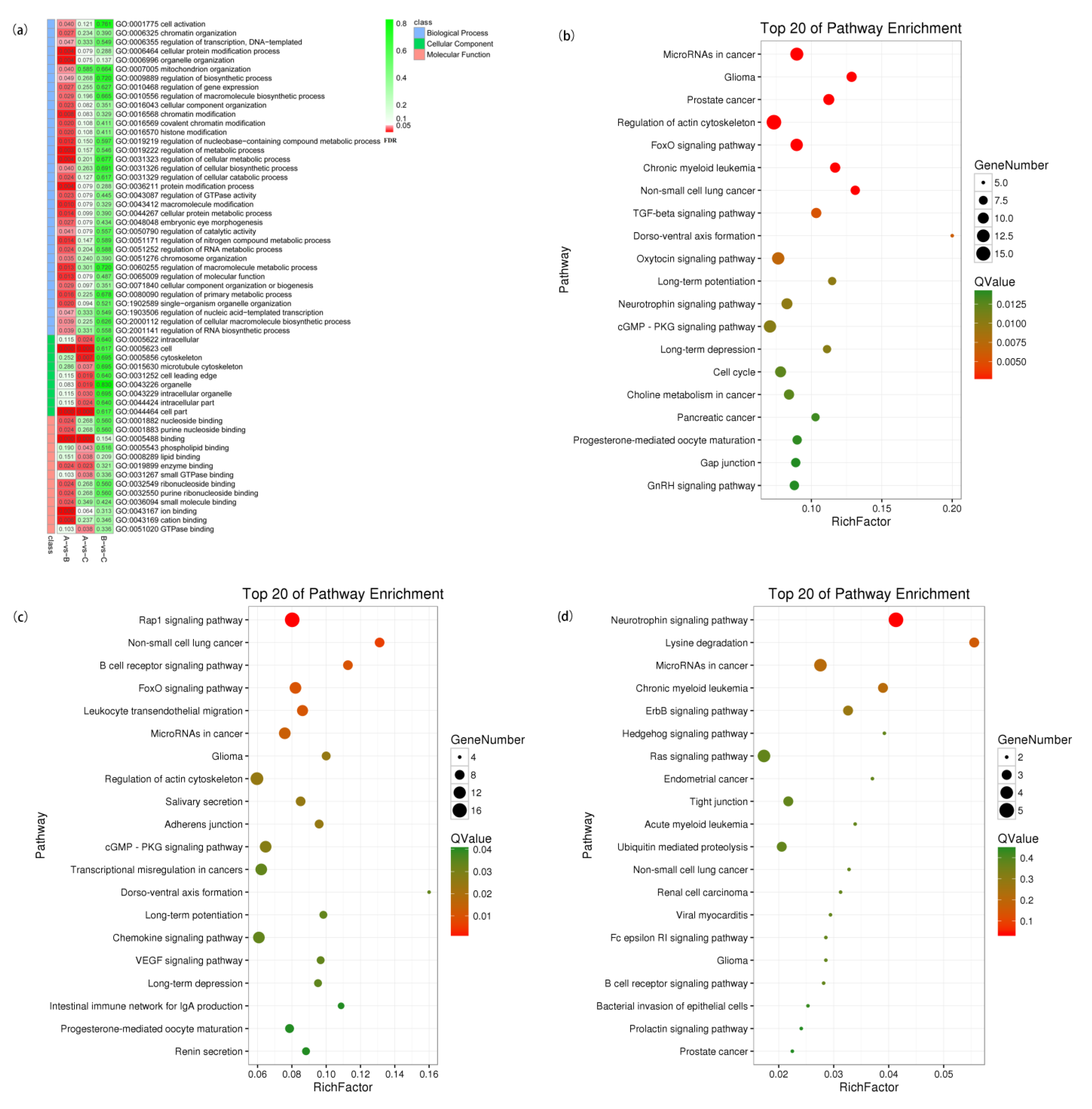 Genes 14 00187 g006 Genes 14 00187 g006