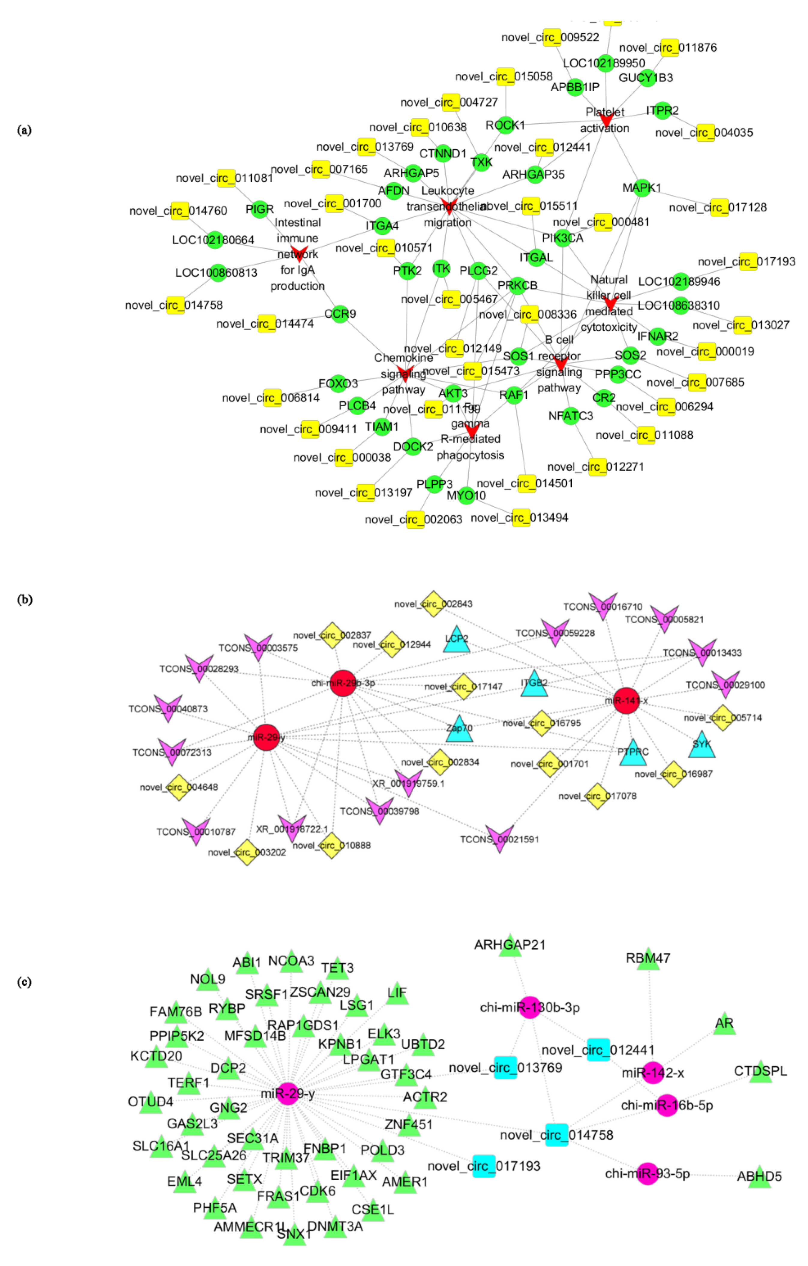 Genes 14 00187 g007 Genes 14 00187 g007