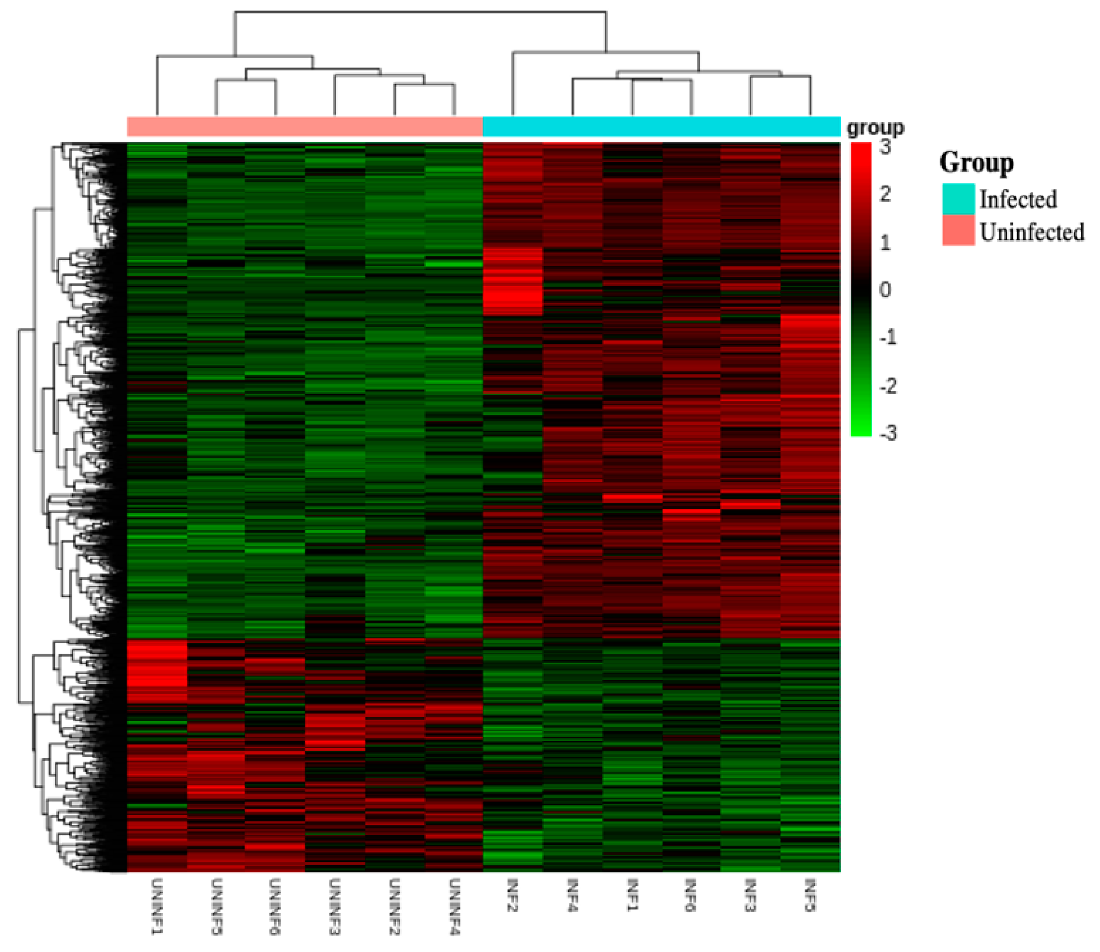Genes 14 00188 g004 Genes 14 00188 g004