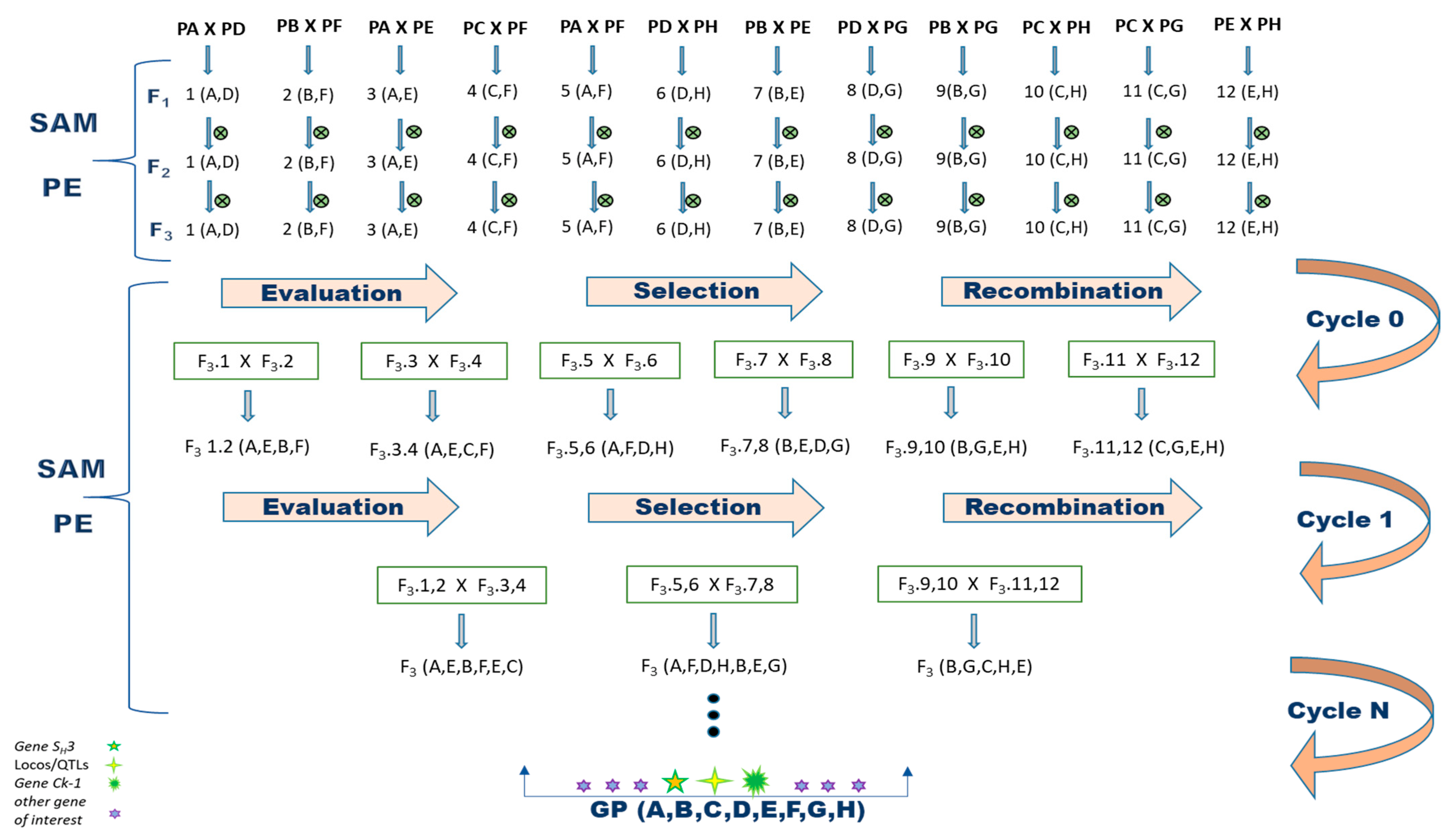 Genes 14 00189 g001 Genes 14 00189 g001