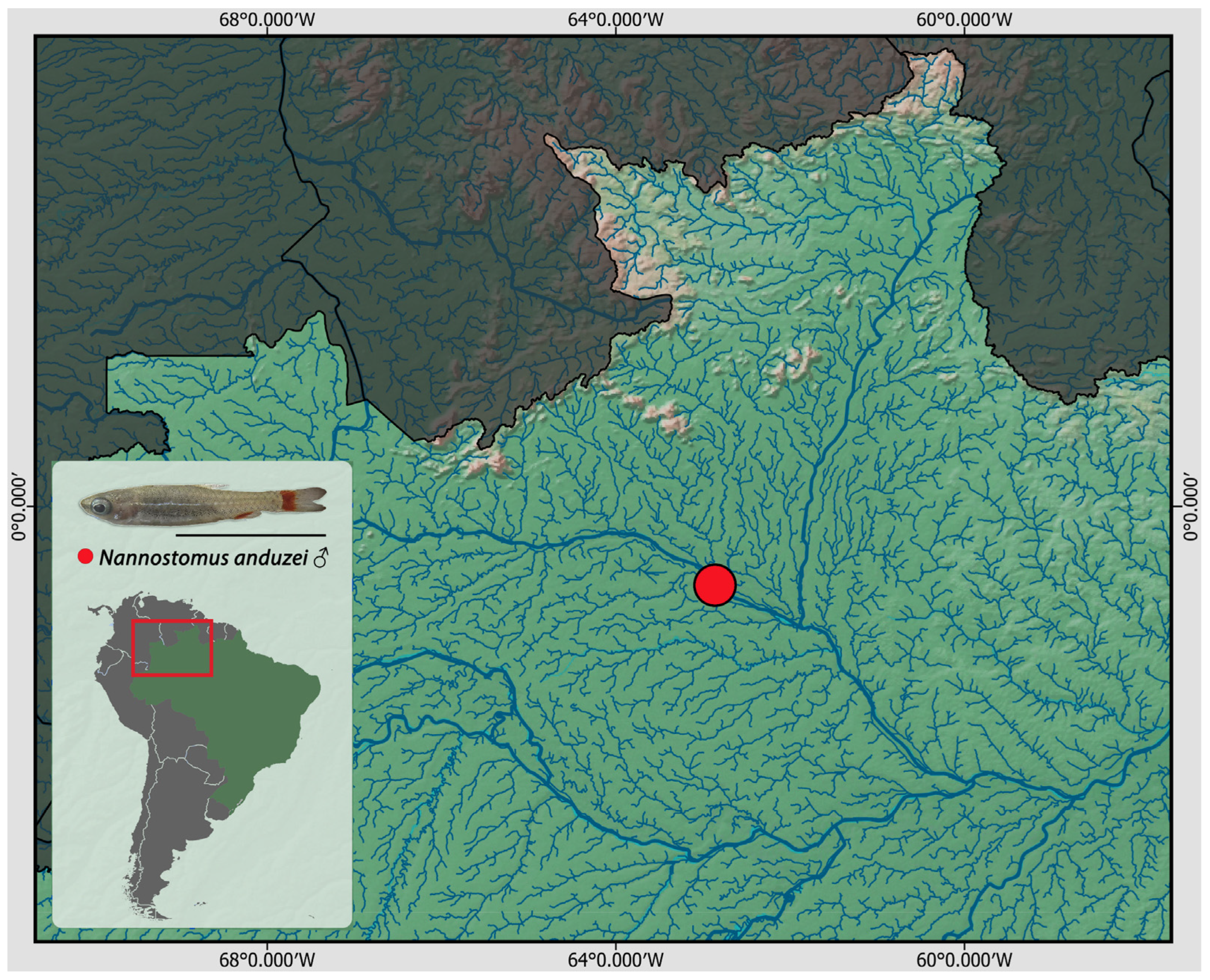 Genes 14 00192 g001 Genes 14 00192 g001