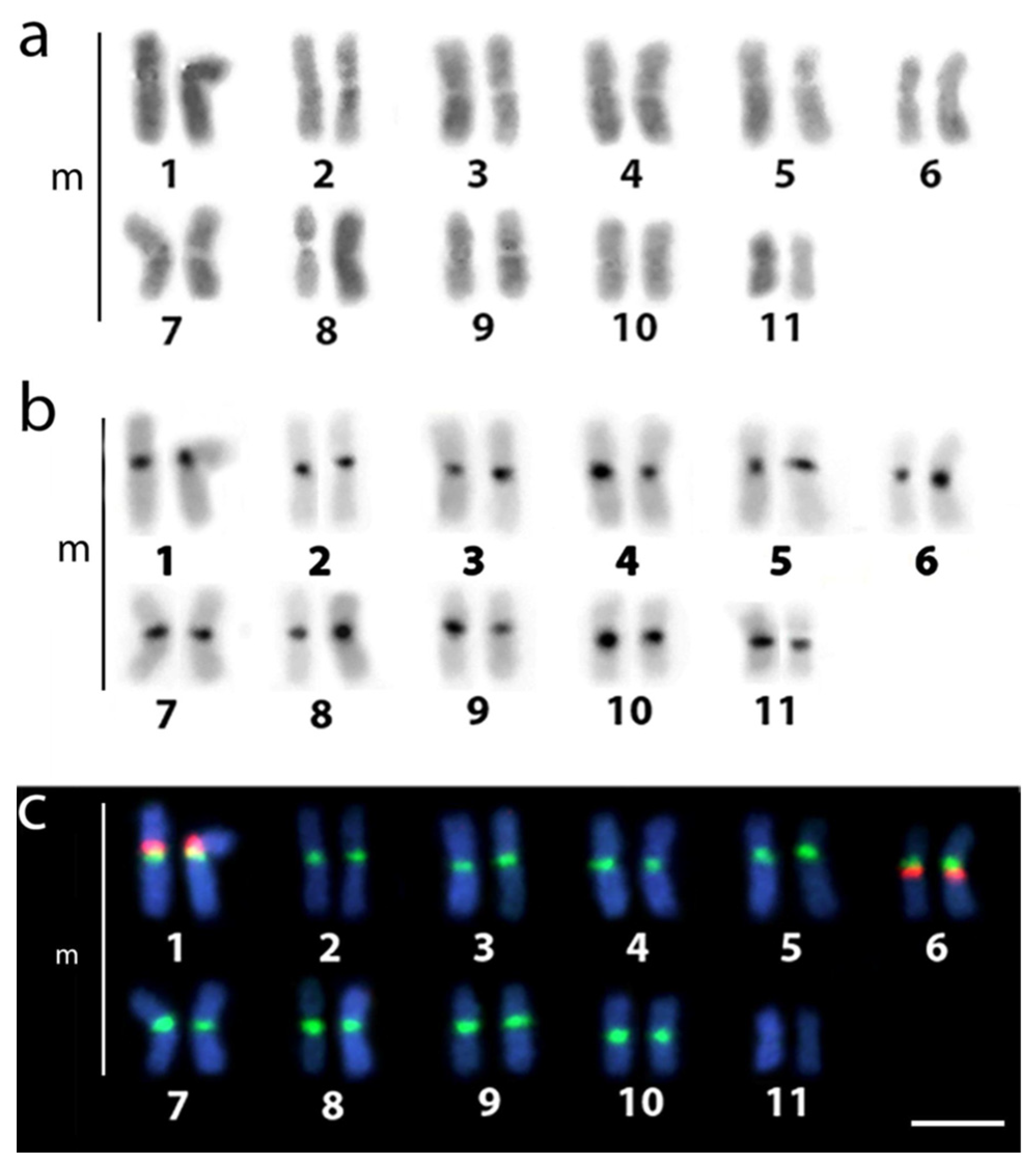 Genes 14 00192 g002 Genes 14 00192 g002