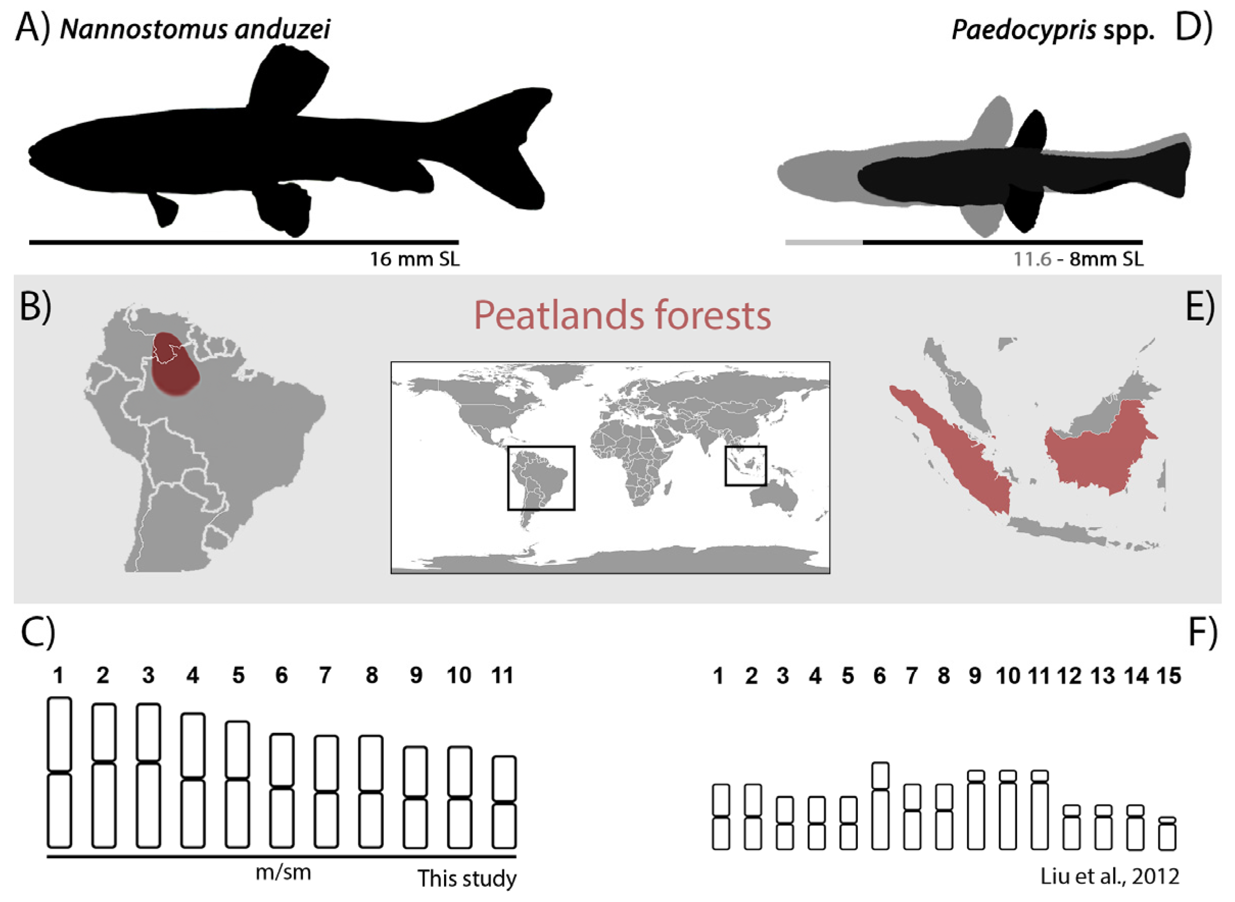 Genes 14 00192 g004 Genes 14 00192 g004