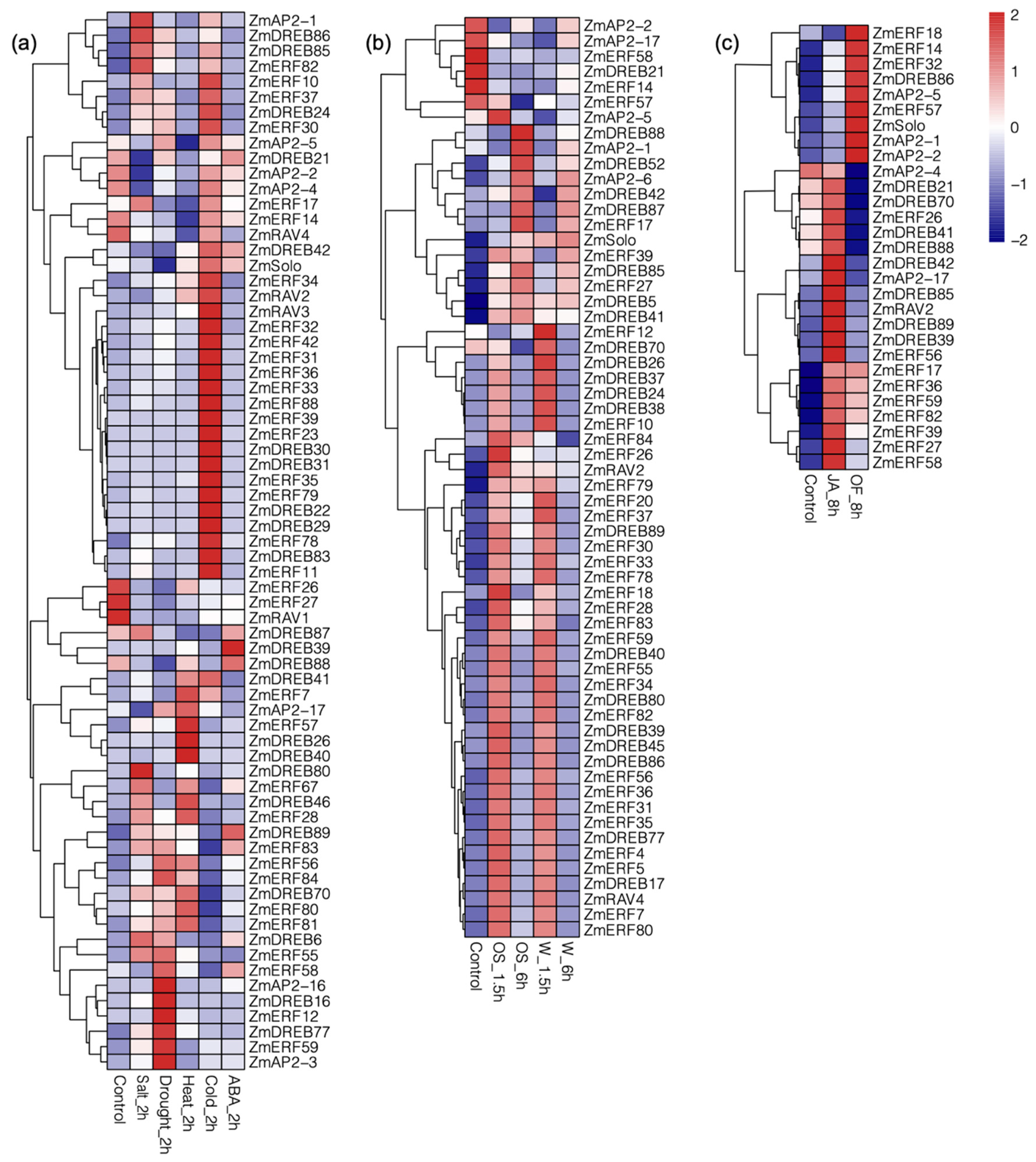 Genes 14 00194 g005 Genes 14 00194 g005