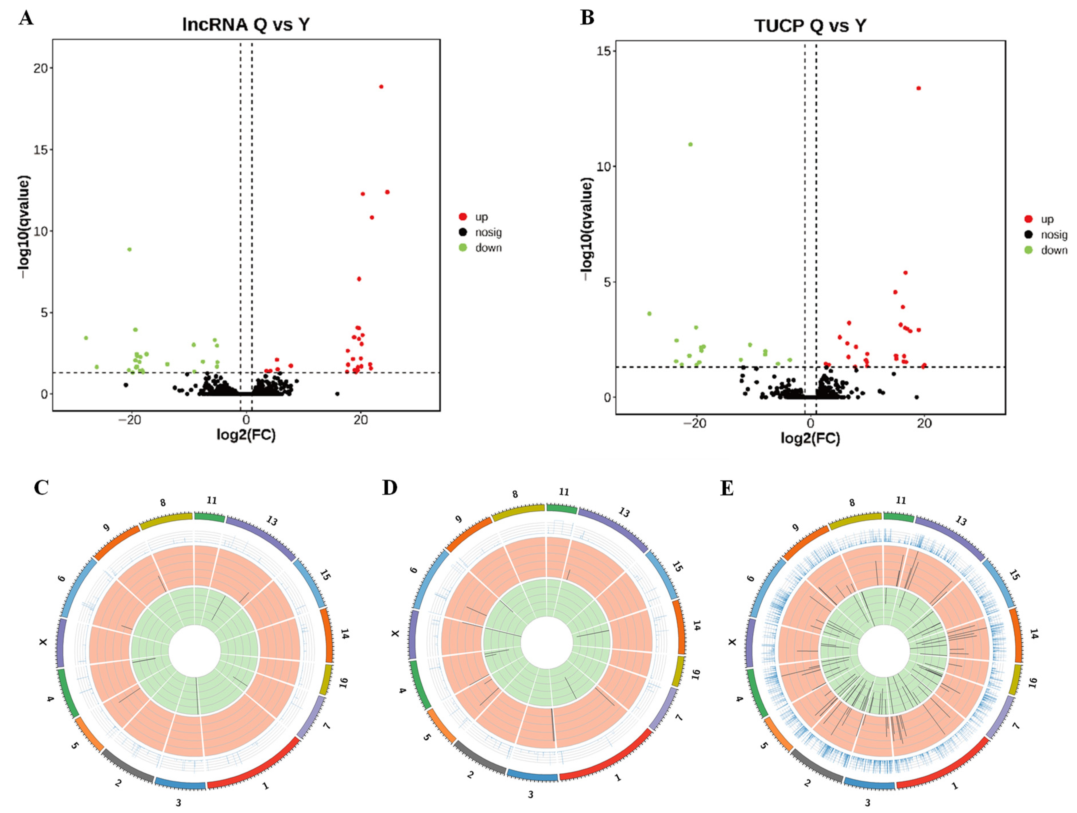 Genes 14 00197 g002 Genes 14 00197 g002