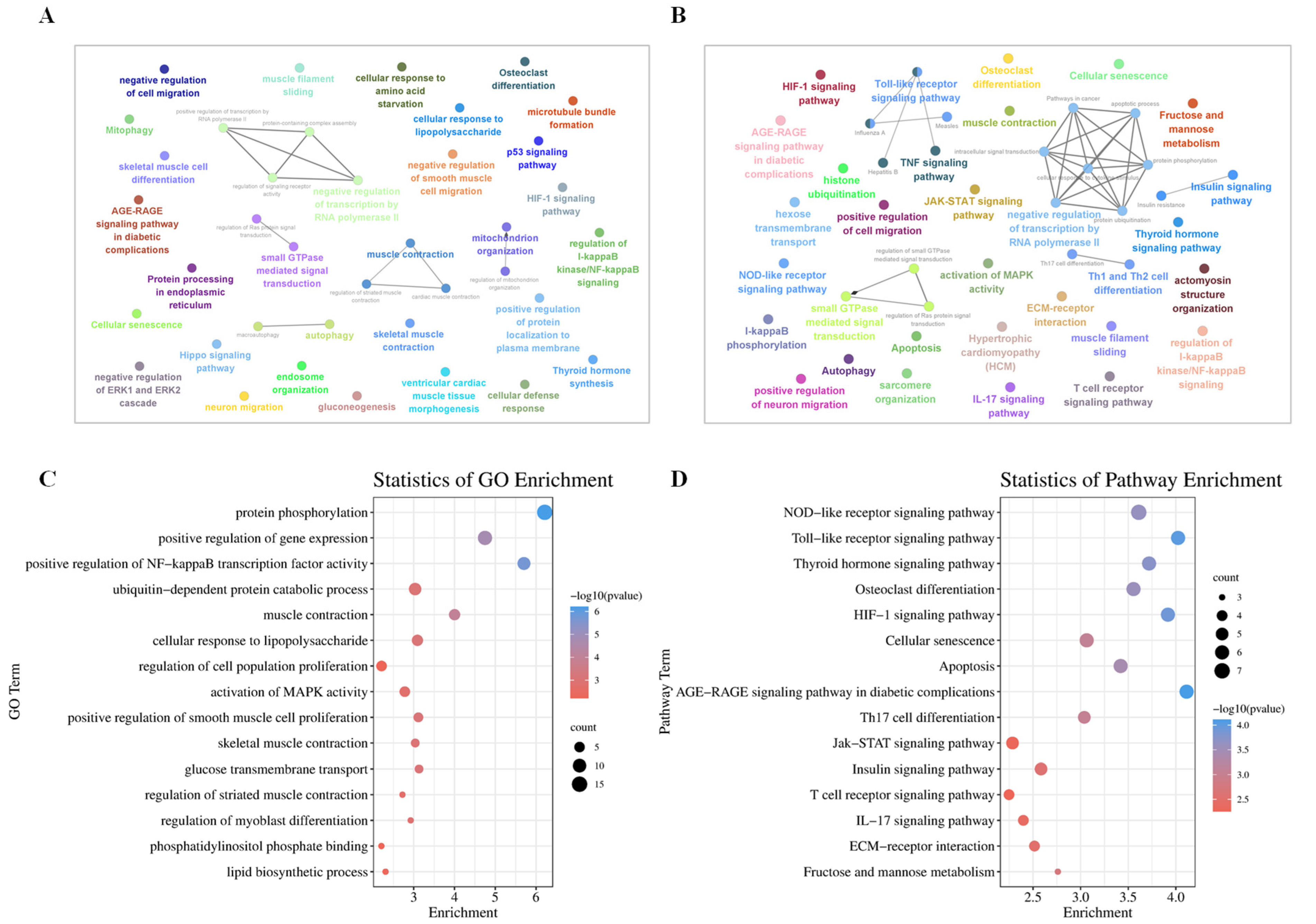 Genes 14 00197 g003 Genes 14 00197 g003
