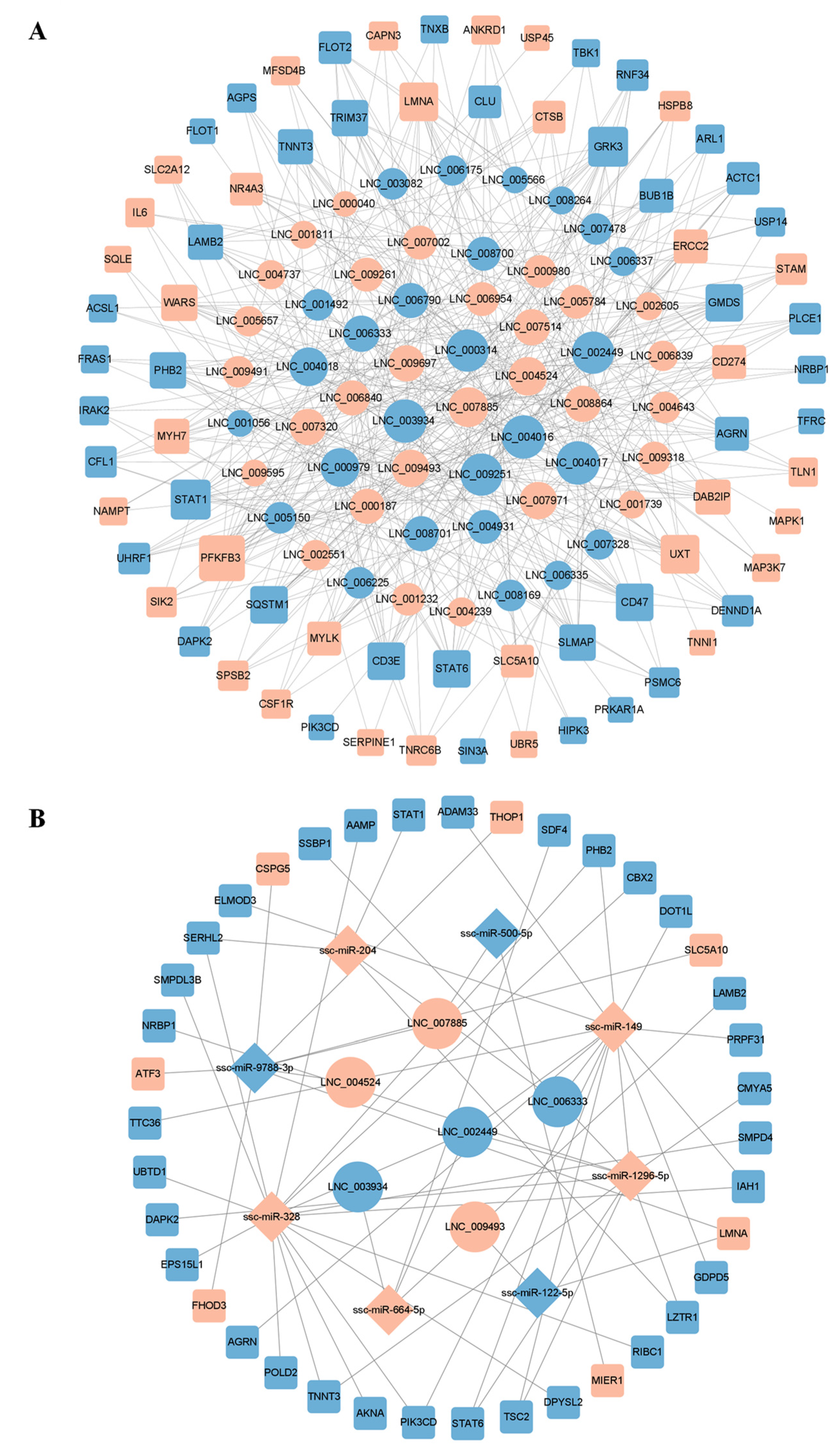 Genes 14 00197 g005 Genes 14 00197 g005