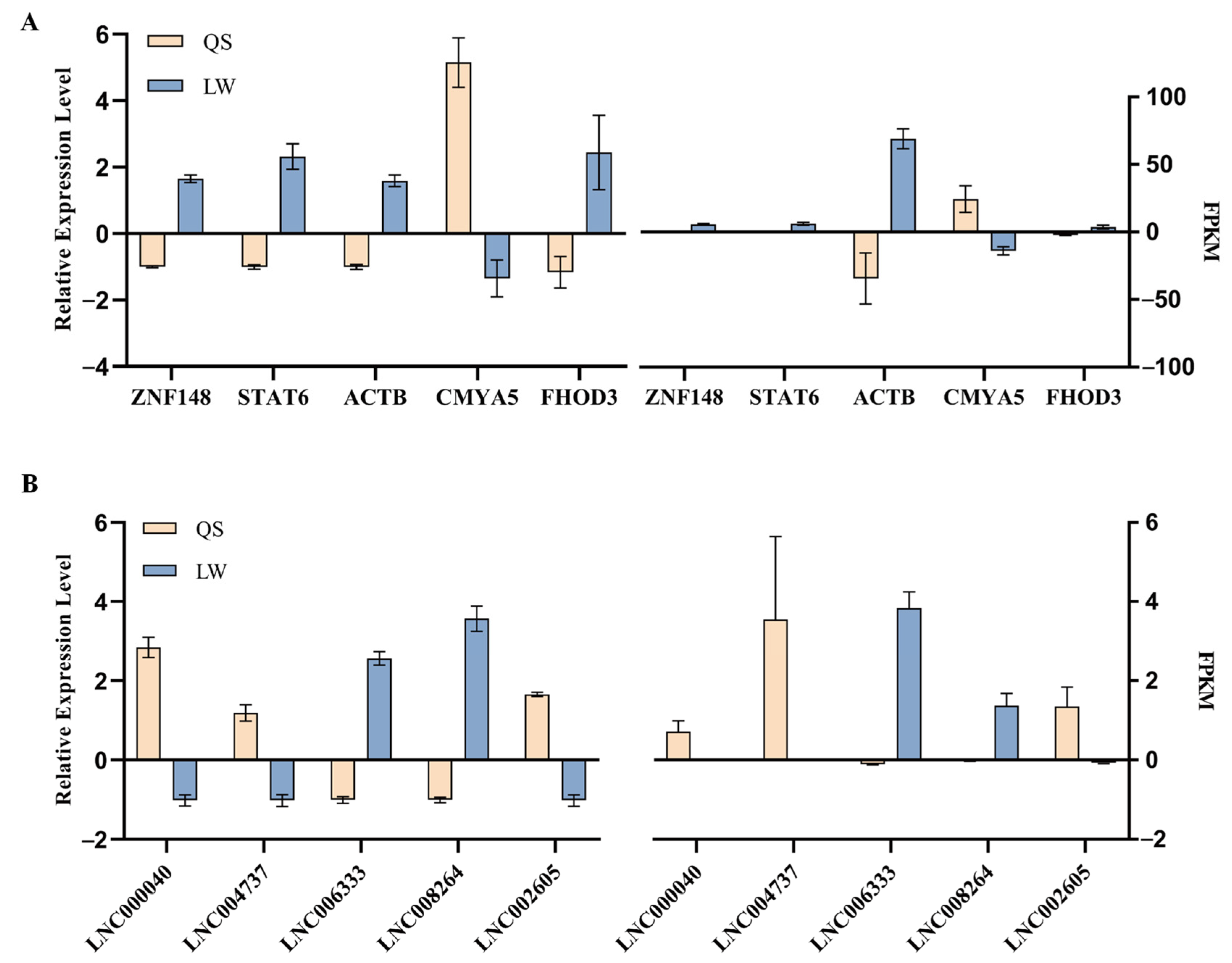 Genes 14 00197 g007 Genes 14 00197 g007