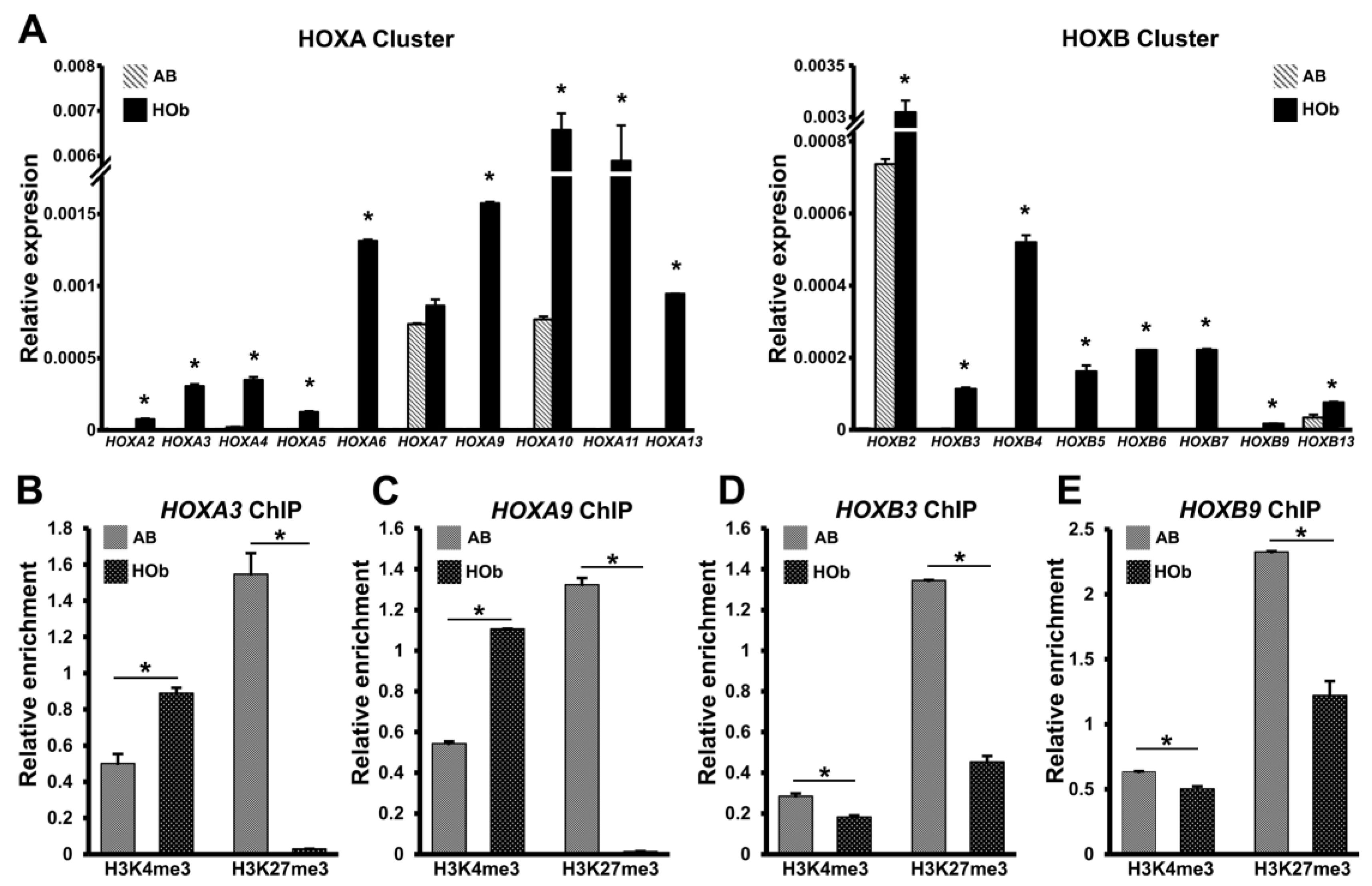 Genes 14 00198 g005 Genes 14 00198 g005