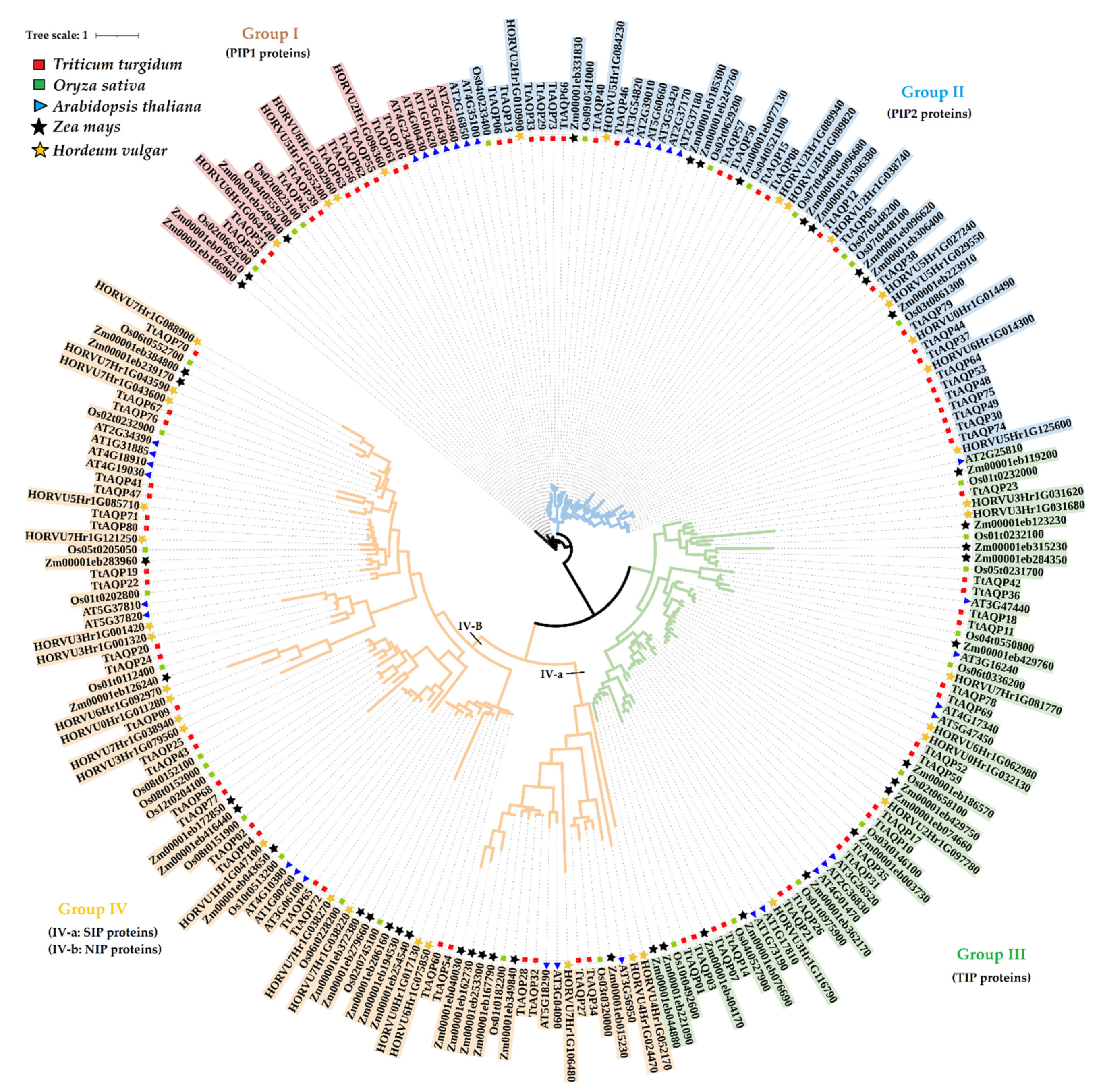 Genes 14 00202 g001 Genes 14 00202 g001