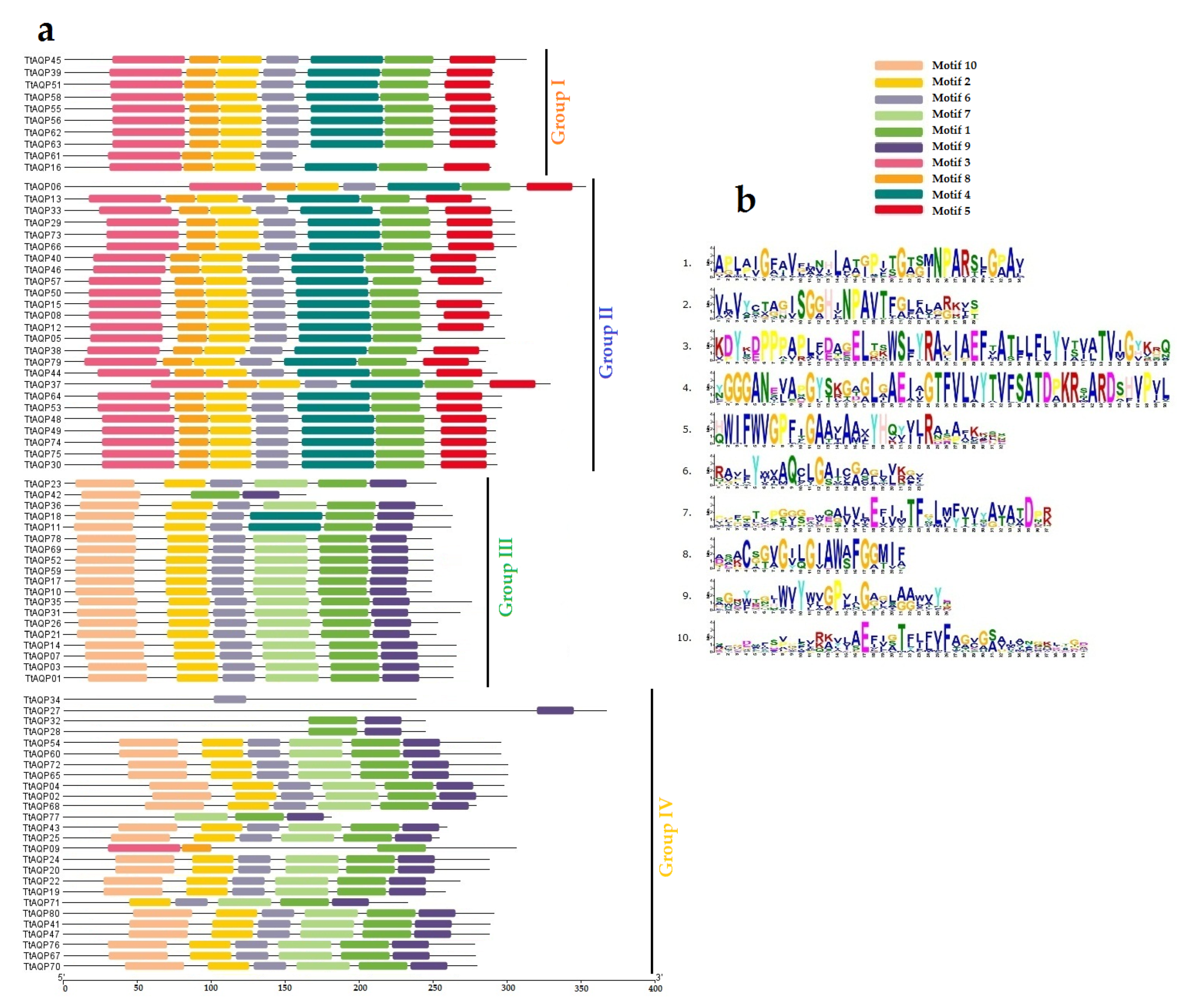 Genes 14 00202 g002 Genes 14 00202 g002