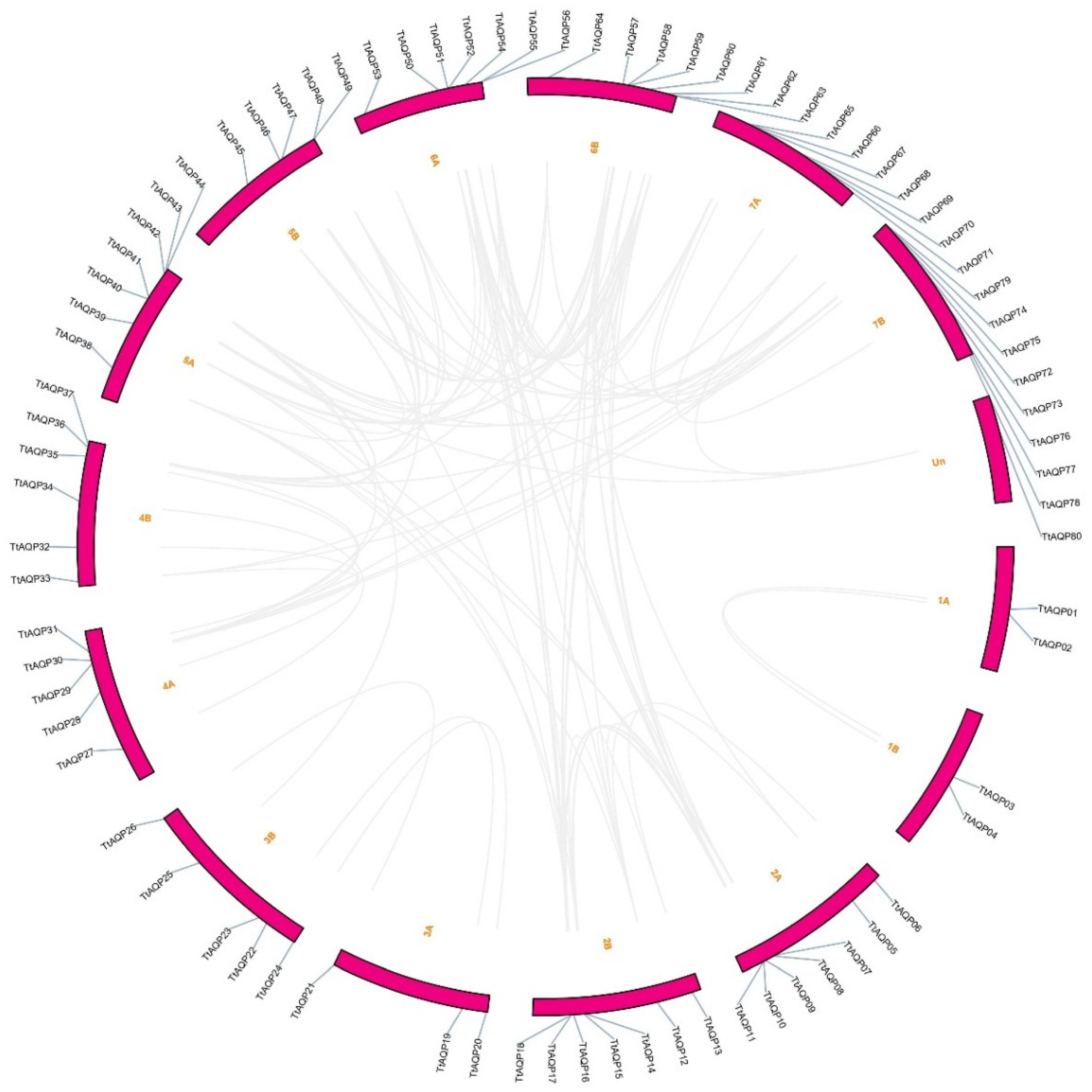 Genes 14 00202 g003 Genes 14 00202 g003