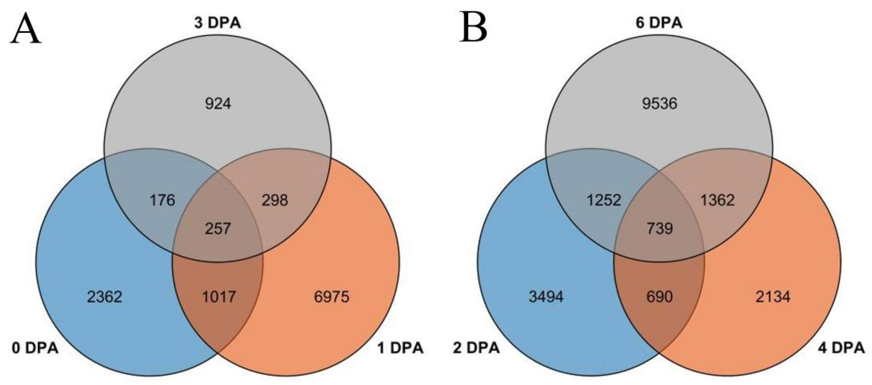 Genes 14 00208 g004 Genes 14 00208 g004