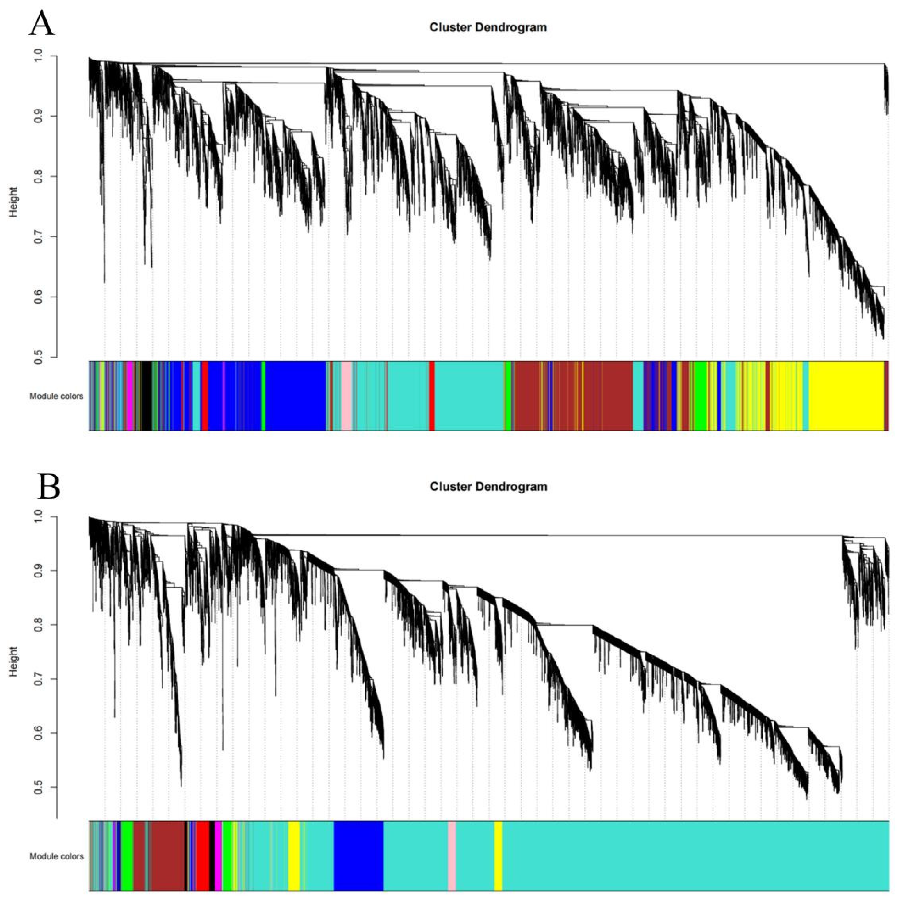 Genes 14 00208 g007 Genes 14 00208 g007