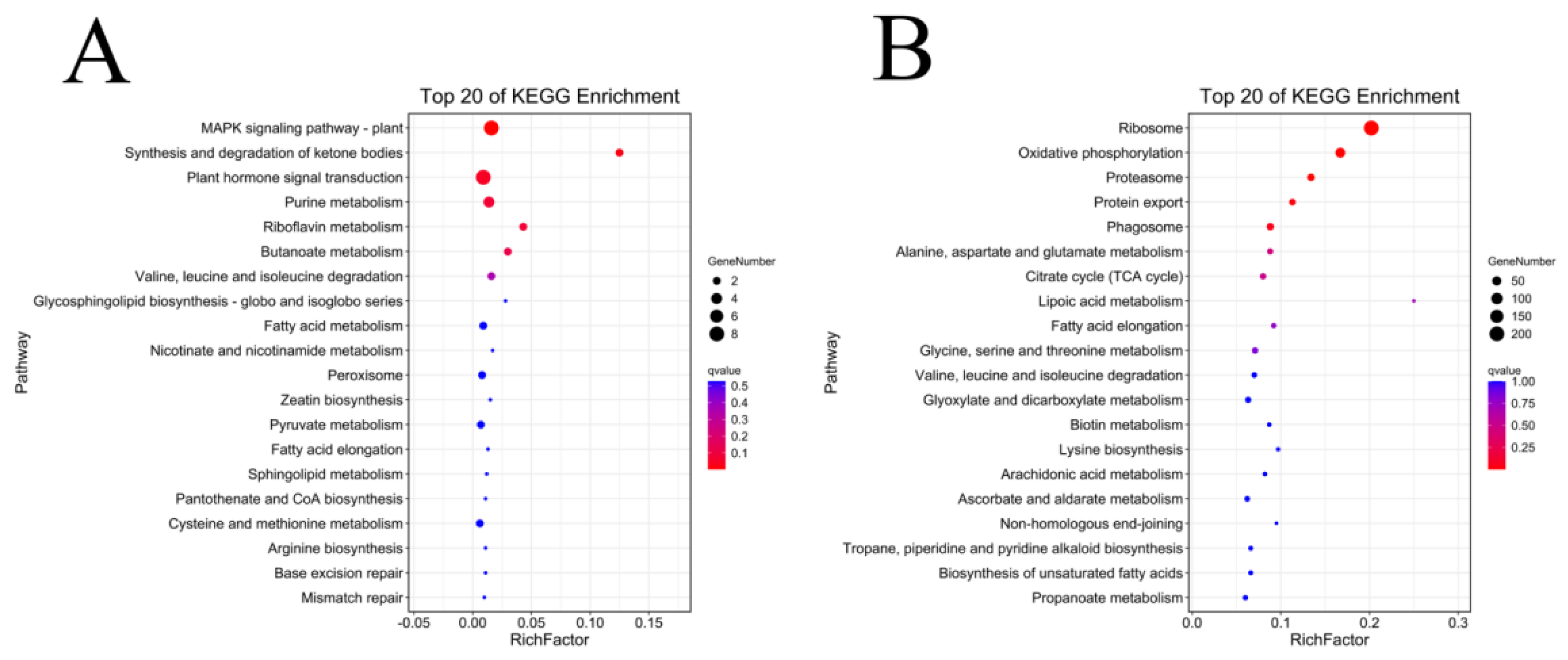 Genes 14 00208 g011 Genes 14 00208 g011