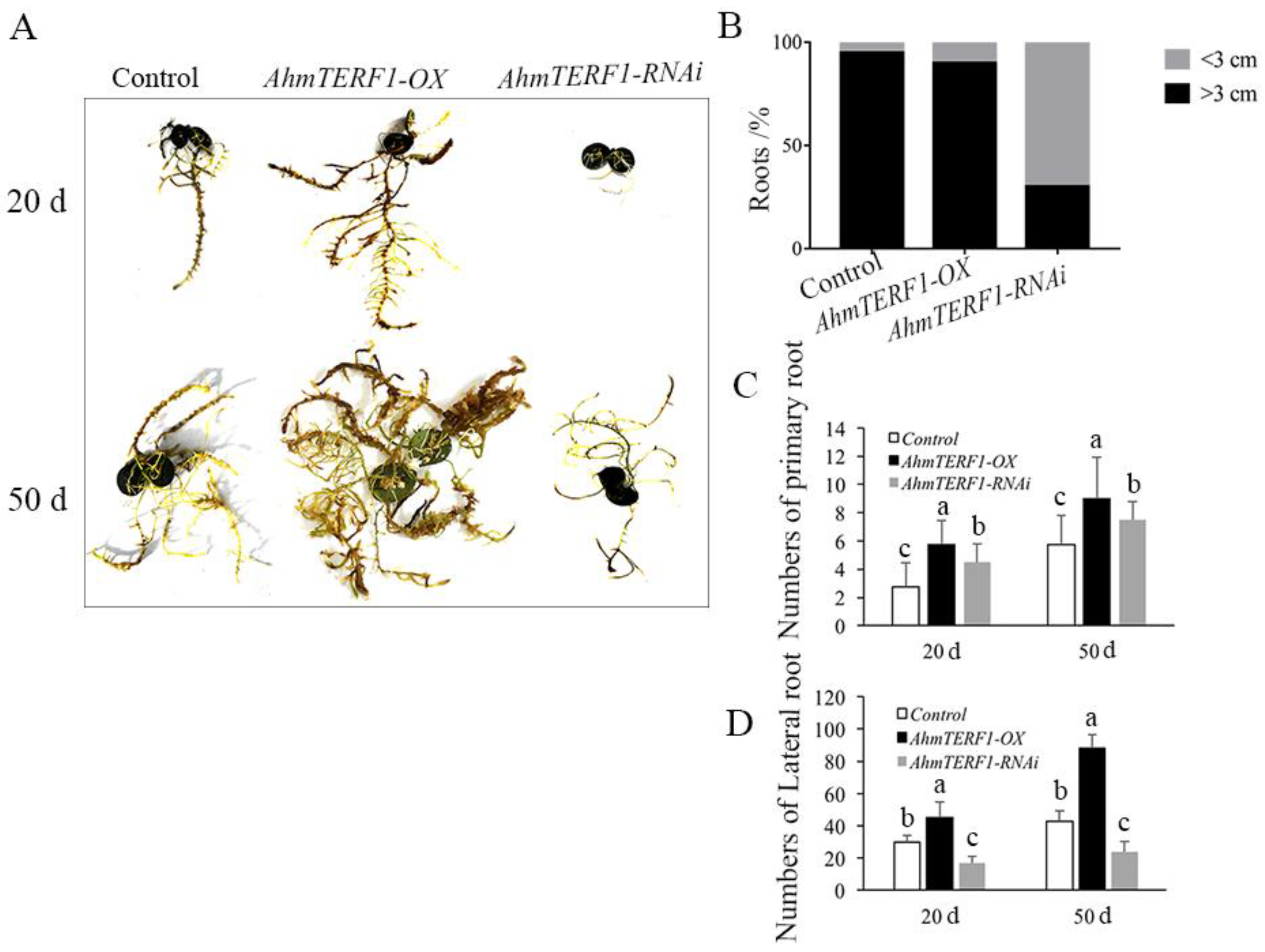 Genes 14 00209 g001 Genes 14 00209 g001