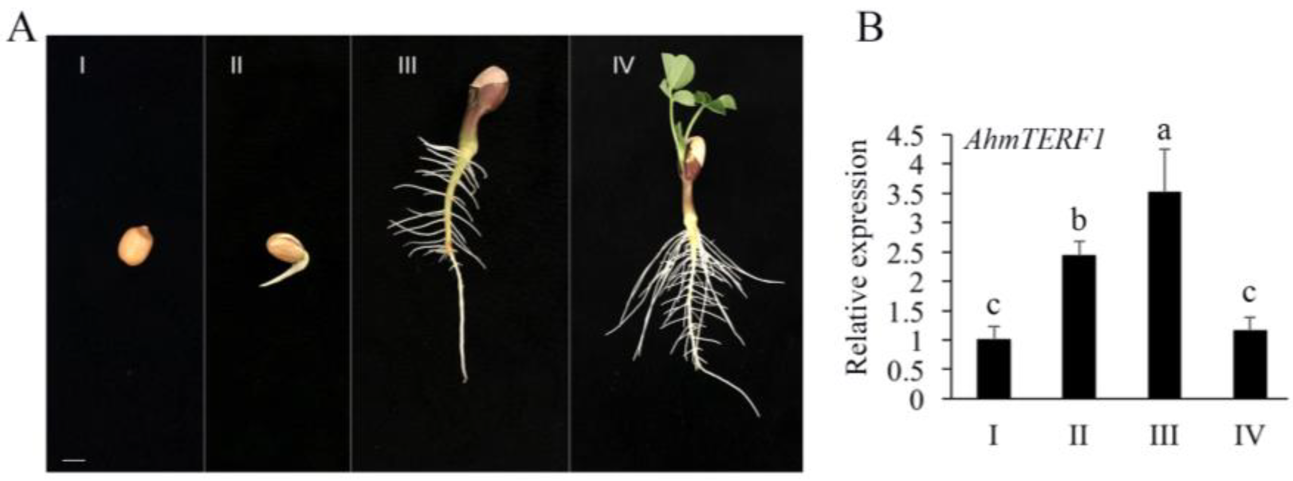 Genes 14 00209 g003 Genes 14 00209 g003