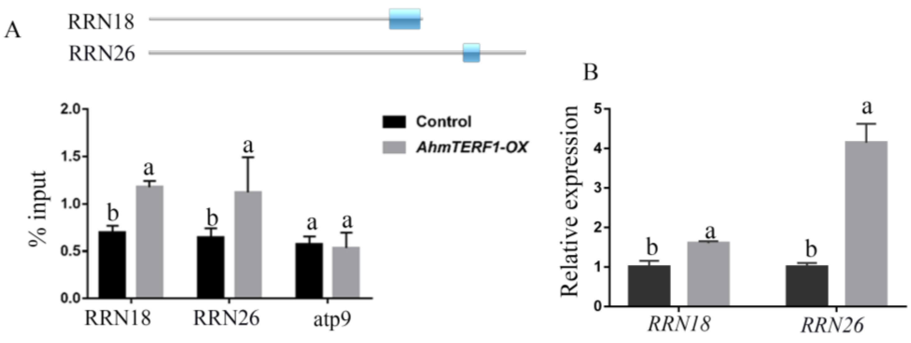 Genes 14 00209 g007 Genes 14 00209 g007