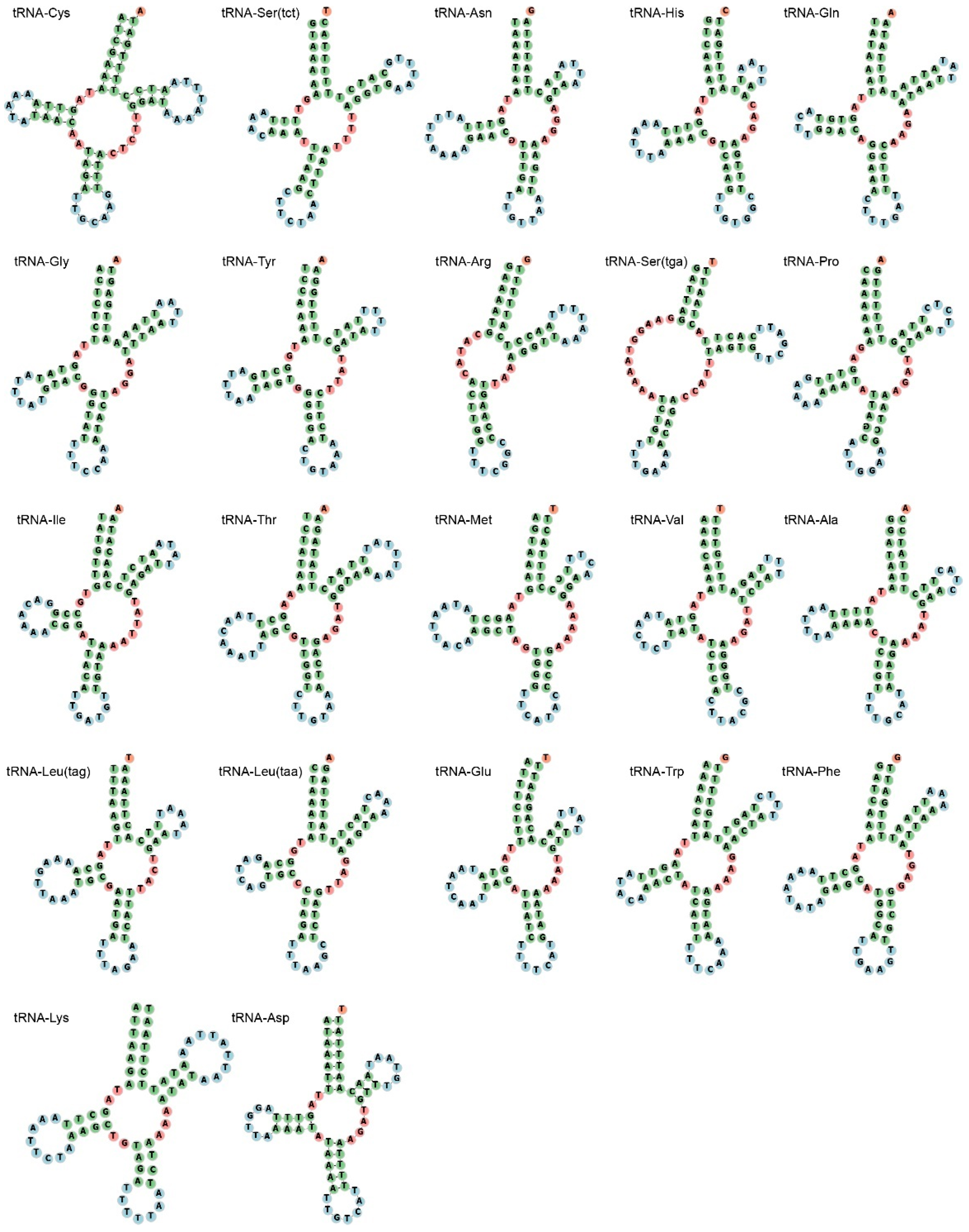 Genes 14 00210 g003 Genes 14 00210 g003