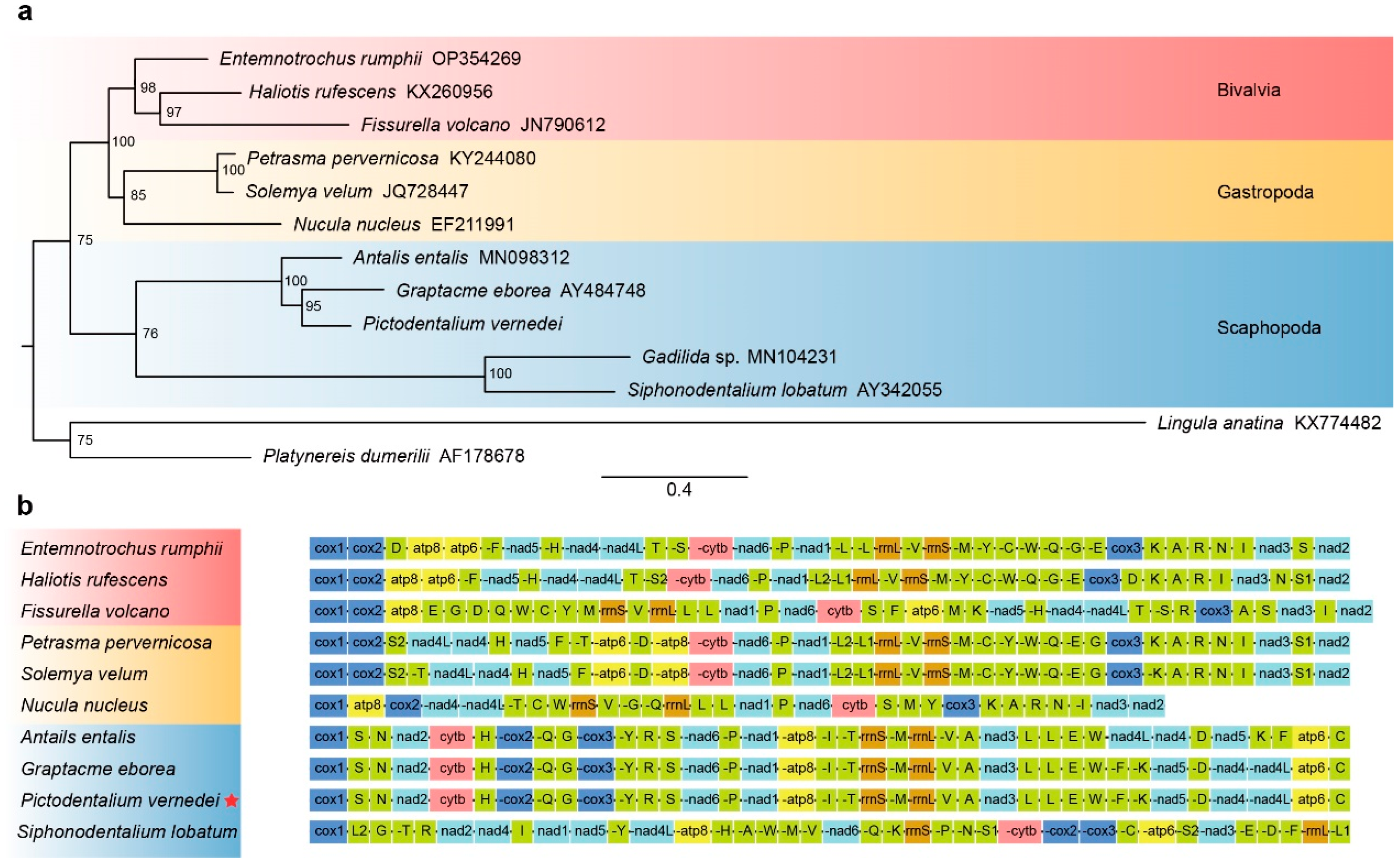 Genes 14 00210 g004 Genes 14 00210 g004